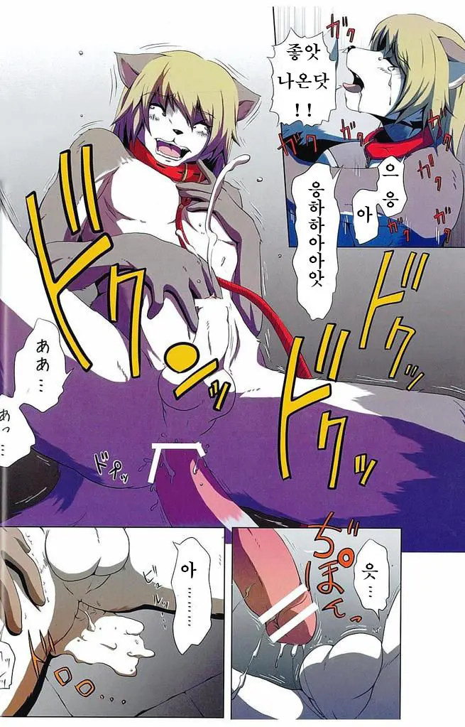 DOG PLAY