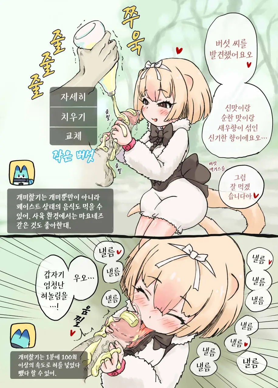 Himearikui - Silky Anteater | 애기개미핥기