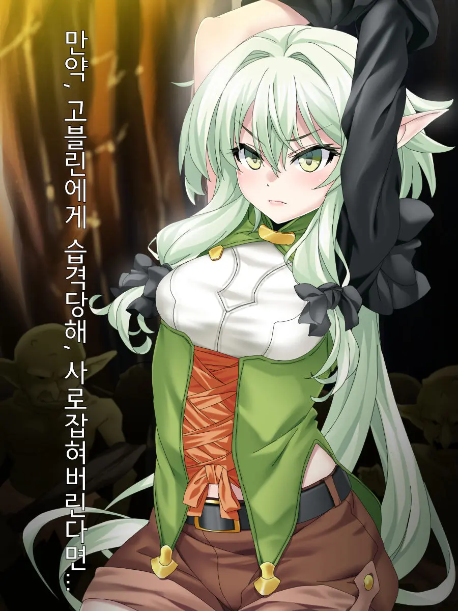 Moshi, Kooni Ni Osoware, Tsukamaeraretara... | 만약, 고블린에게 습격당해, 사로잡혀버린다면...