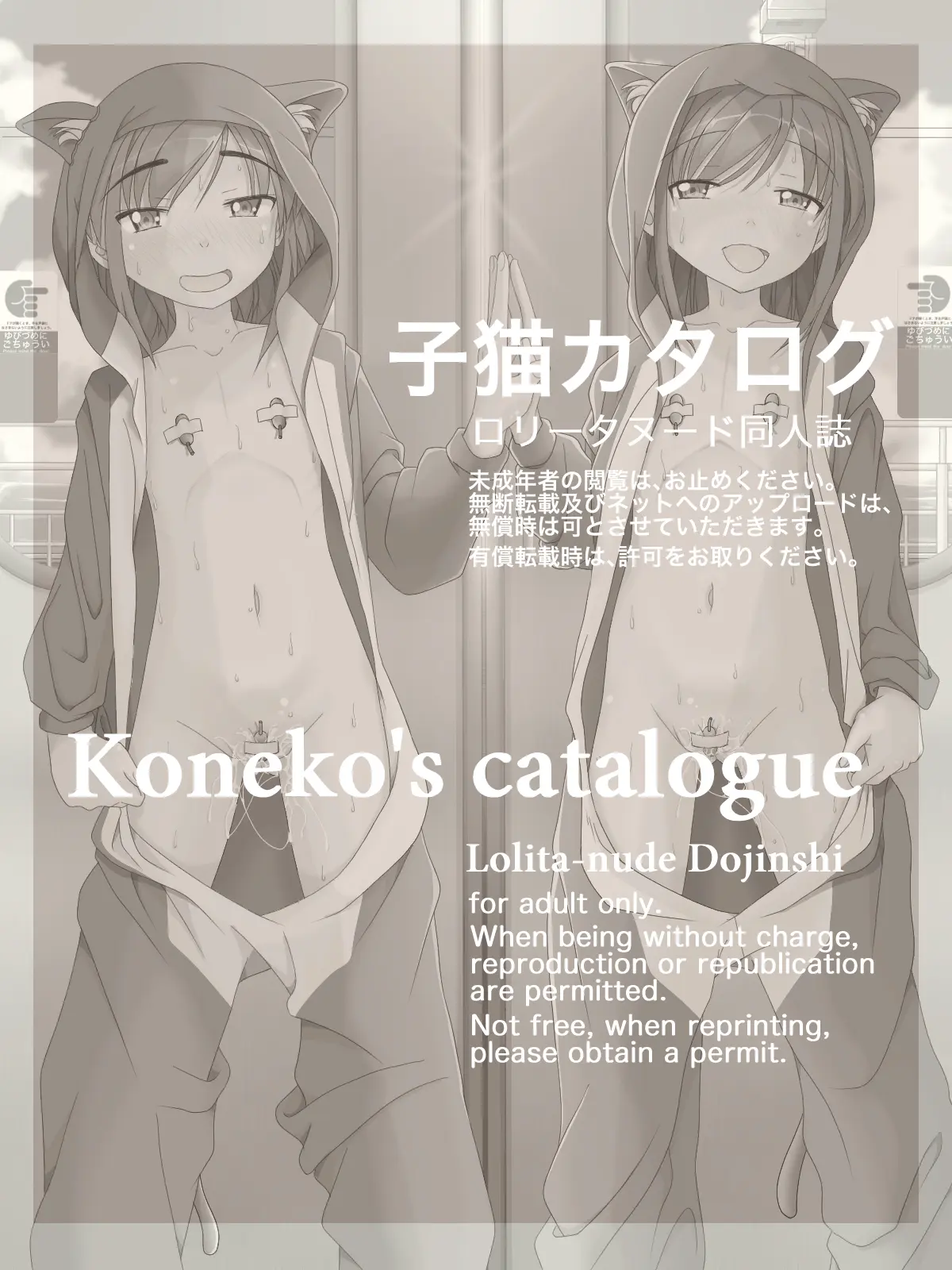 CHATONS CATALOGUE | 아기고양이 카탈로그