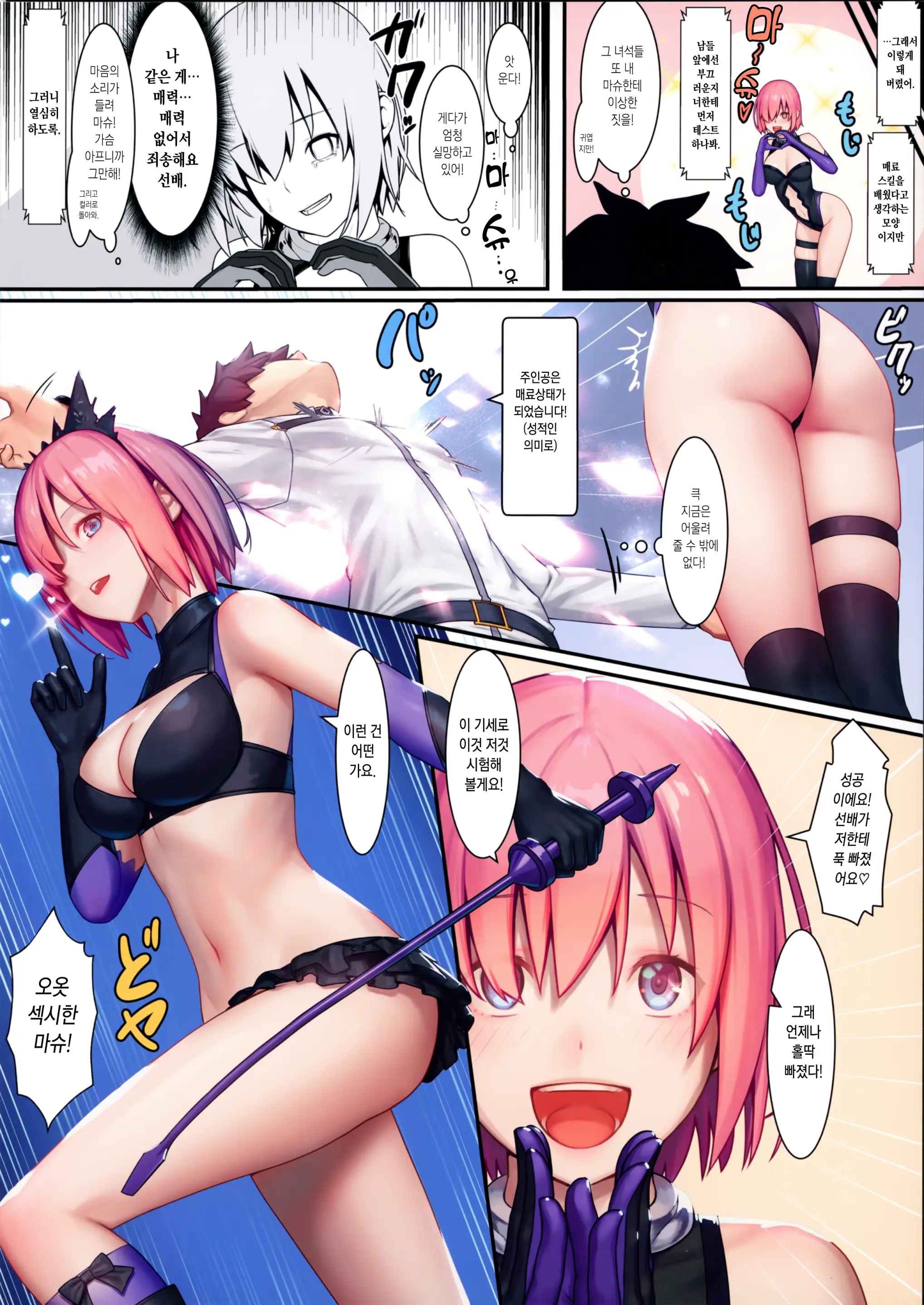 Fate Gentle Order 4 Lily
