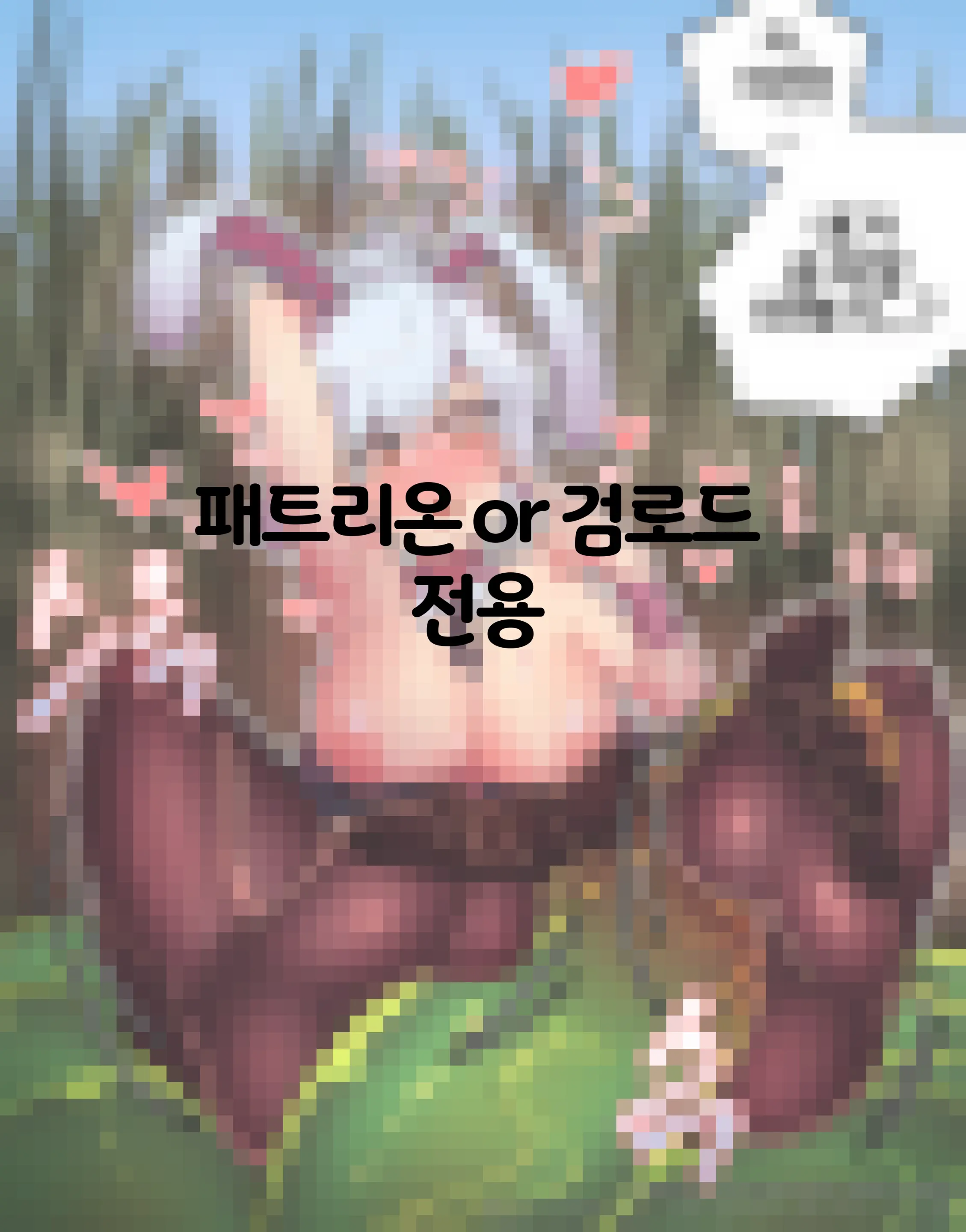 토끼맛 젤리