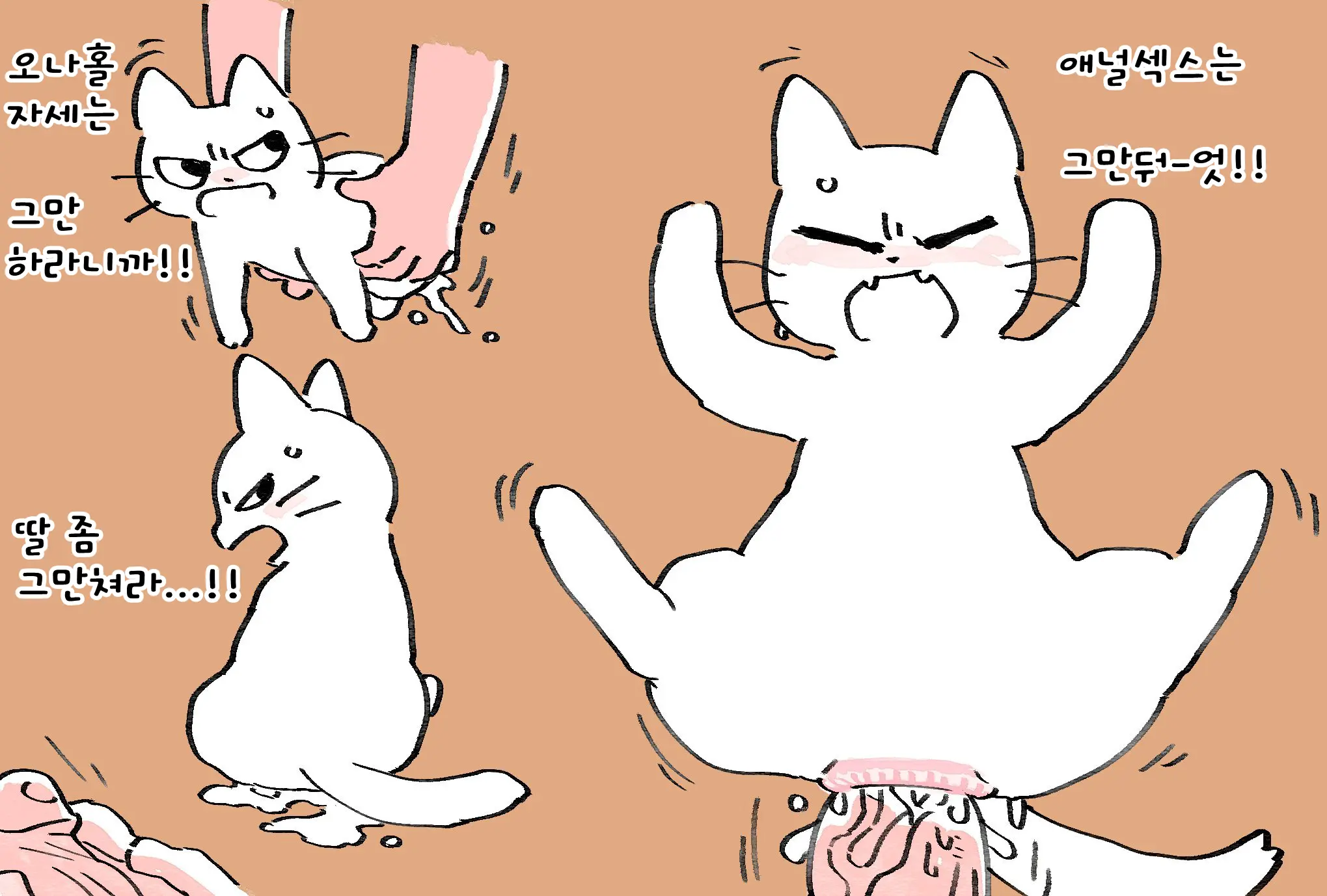 Shikaruneko