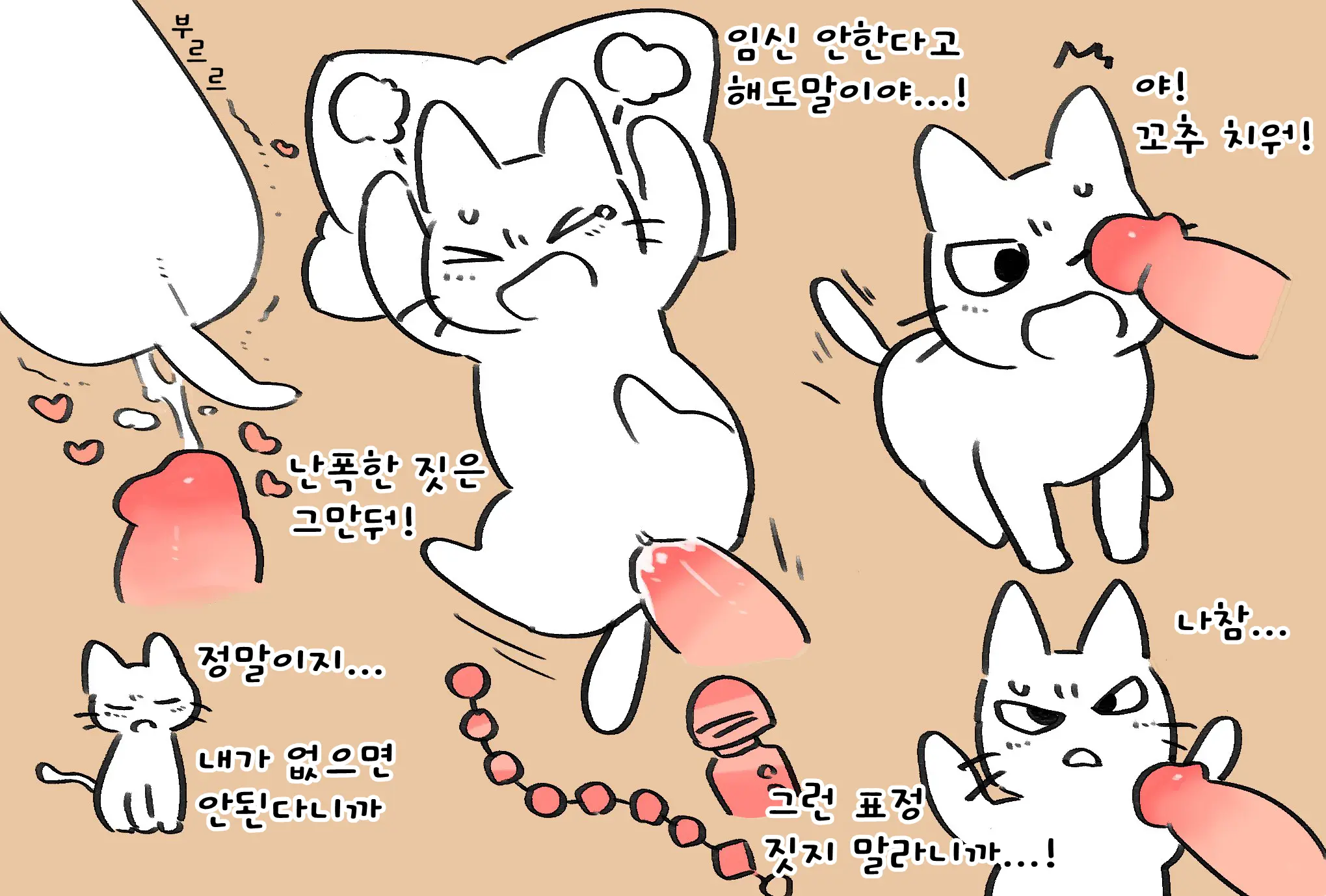 Shikaruneko