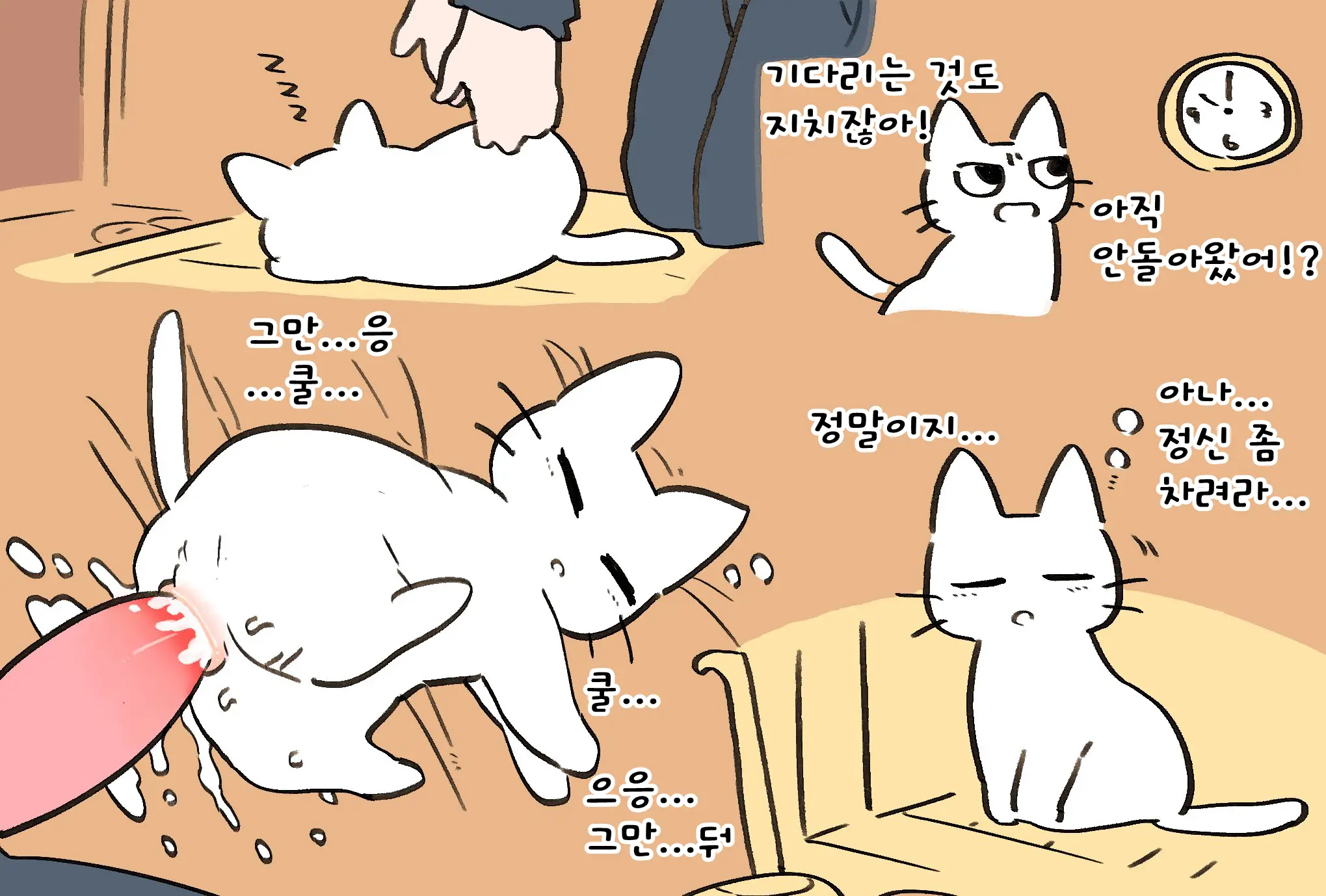Shikaruneko