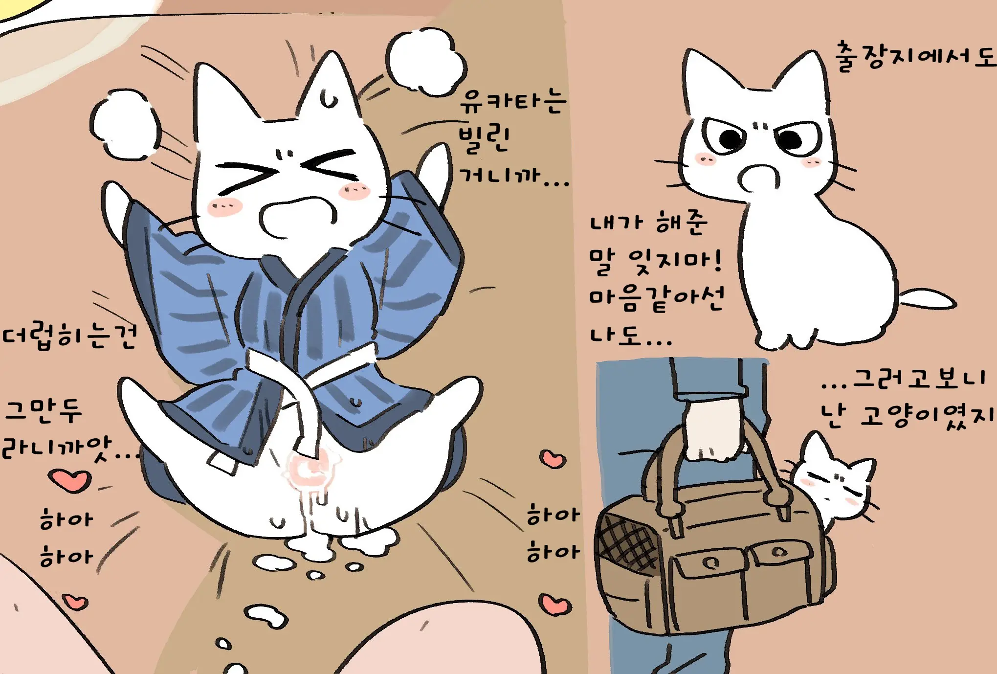 Shikaruneko