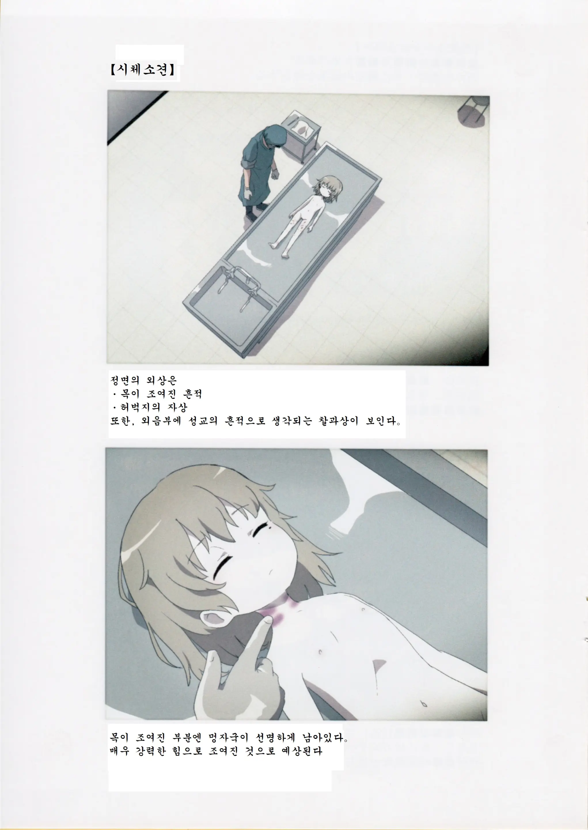 Nishiogikubo Shoujo Satsugai Jiken Shihou Kaibou Kiroku | 니시오기쿠보 소녀 살해사건 사법해부기록