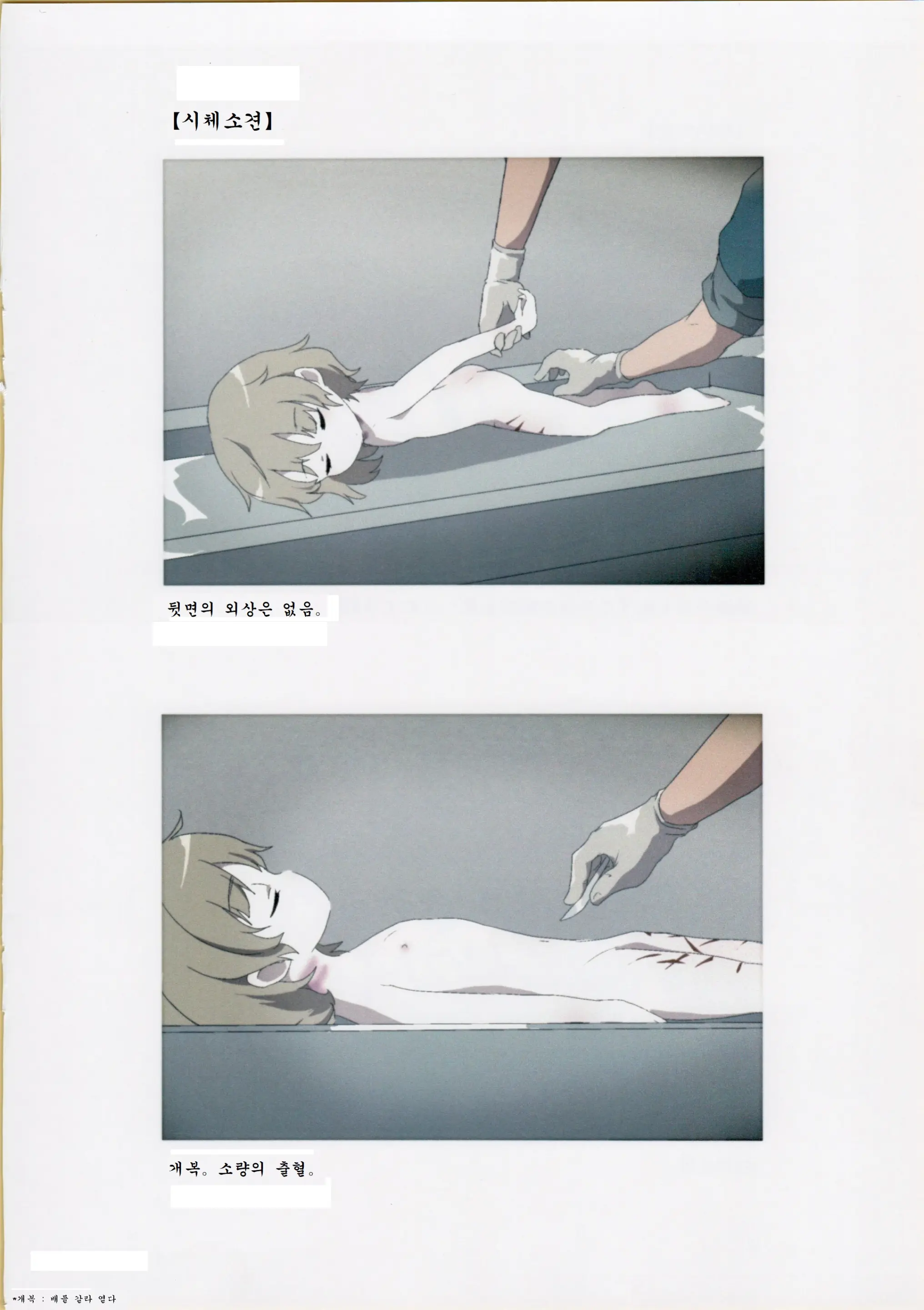 Nishiogikubo Shoujo Satsugai Jiken Shihou Kaibou Kiroku | 니시오기쿠보 소녀 살해사건 사법해부기록