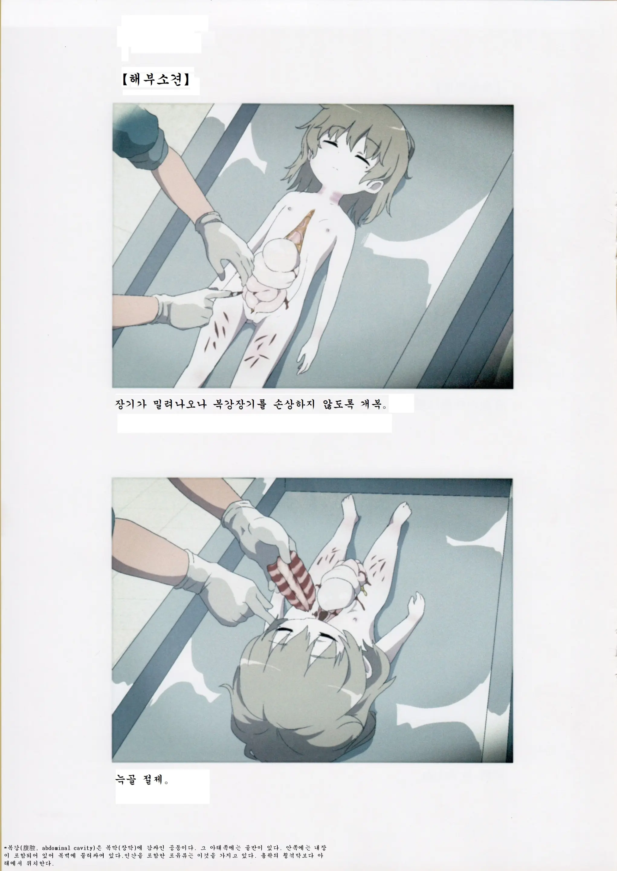 Nishiogikubo Shoujo Satsugai Jiken Shihou Kaibou Kiroku | 니시오기쿠보 소녀 살해사건 사법해부기록