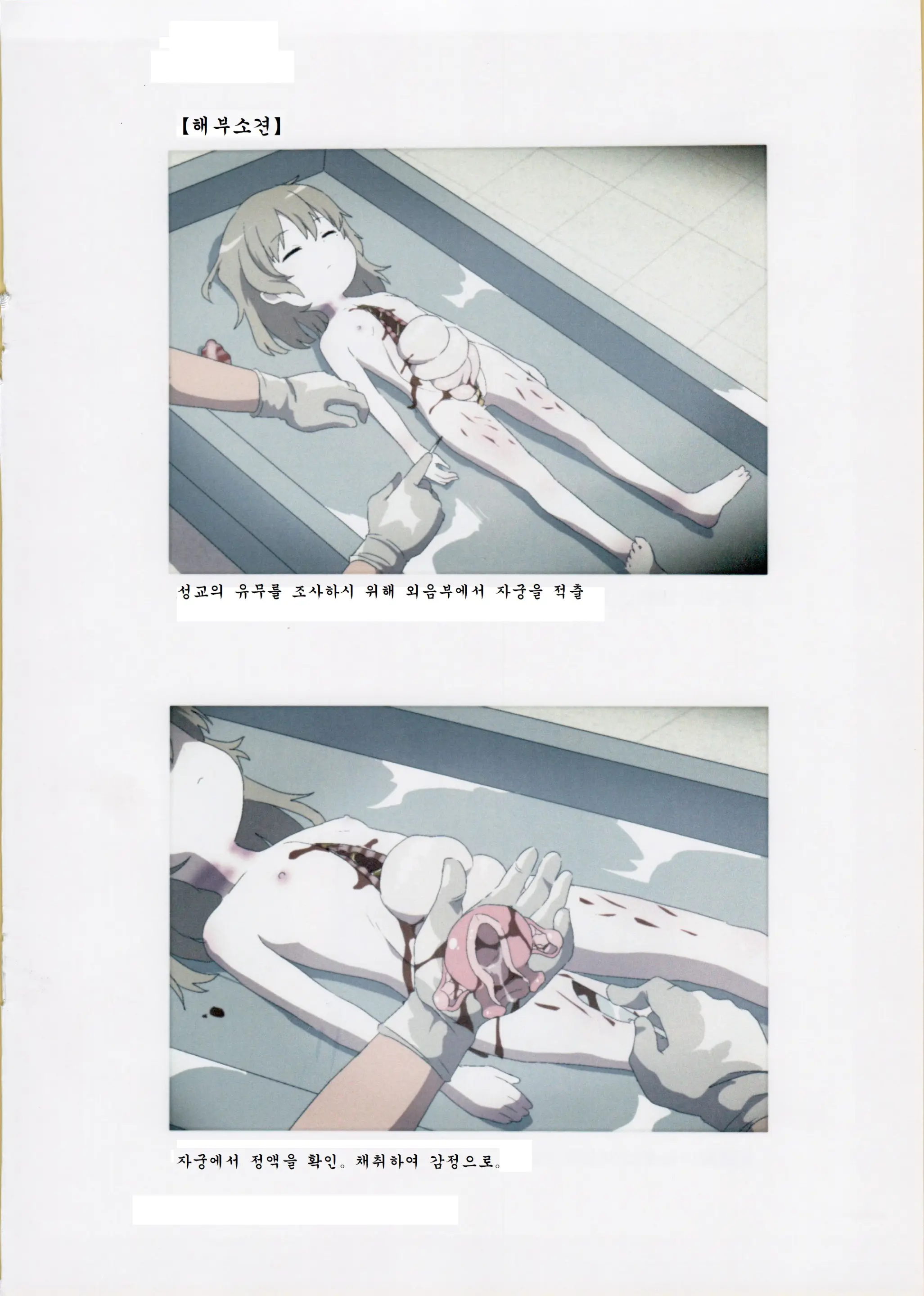 Nishiogikubo Shoujo Satsugai Jiken Shihou Kaibou Kiroku | 니시오기쿠보 소녀 살해사건 사법해부기록