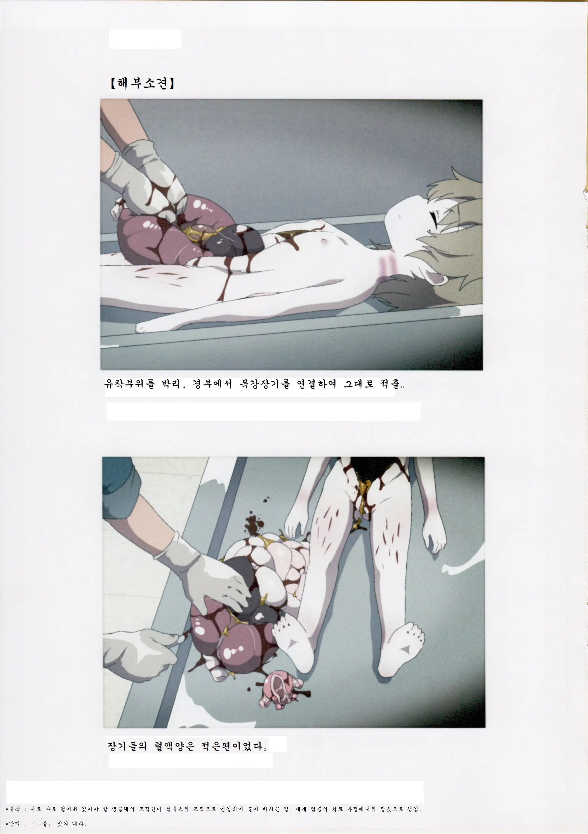 Nishiogikubo Shoujo Satsugai Jiken Shihou Kaibou Kiroku | 니시오기쿠보 소녀 살해사건 사법해부기록
