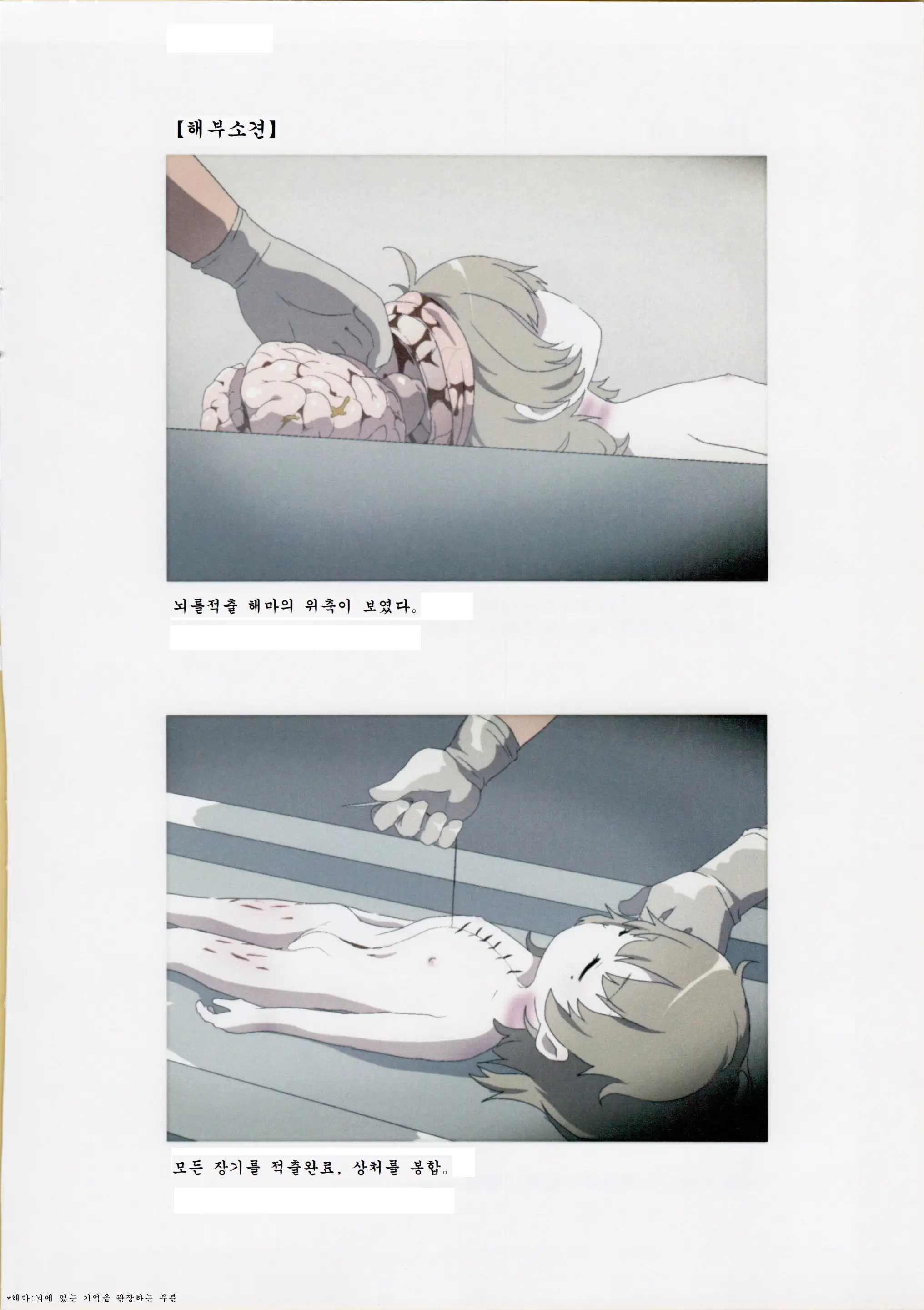 Nishiogikubo Shoujo Satsugai Jiken Shihou Kaibou Kiroku | 니시오기쿠보 소녀 살해사건 사법해부기록