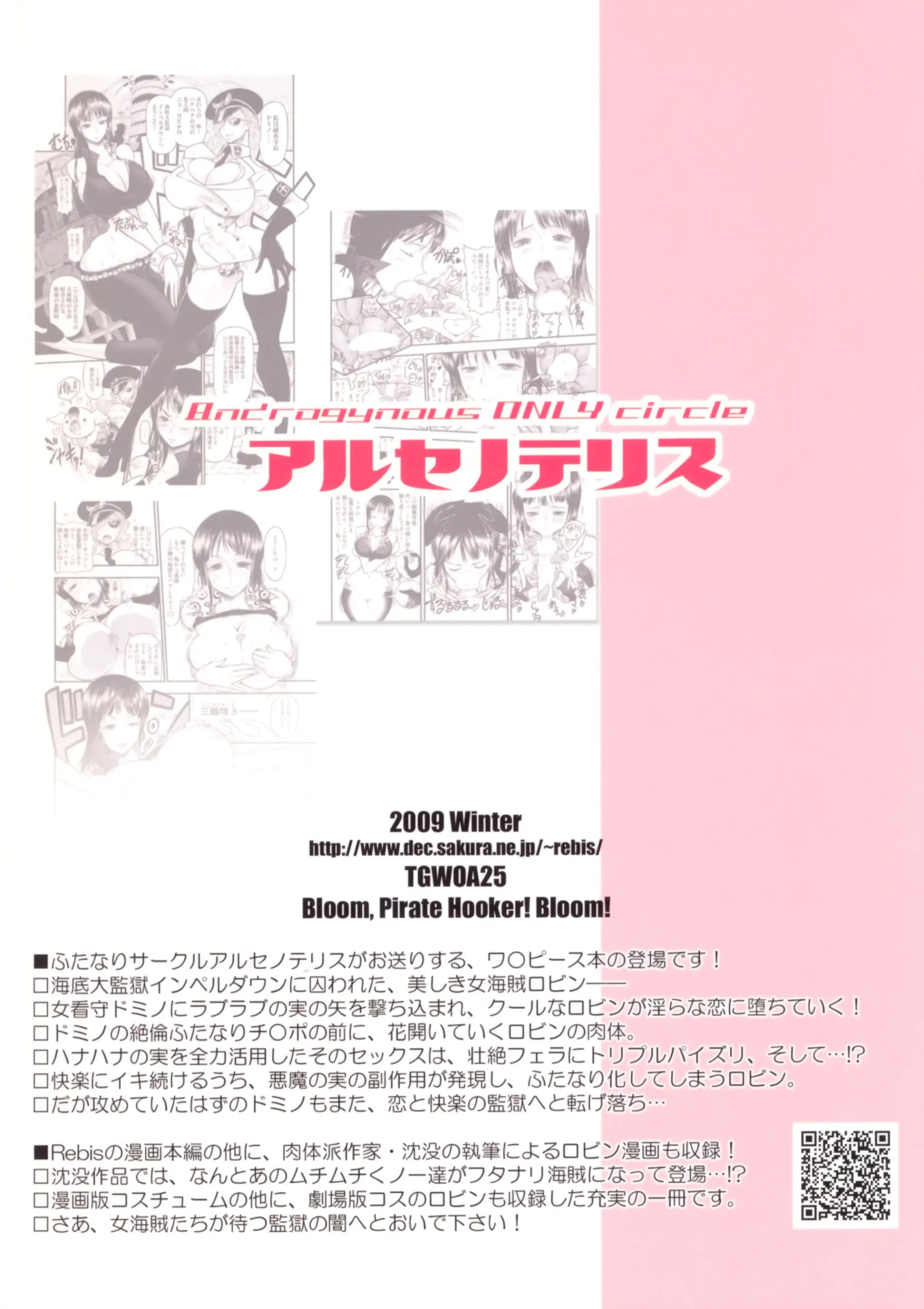 Midarezaki Joshuu Kaizoku