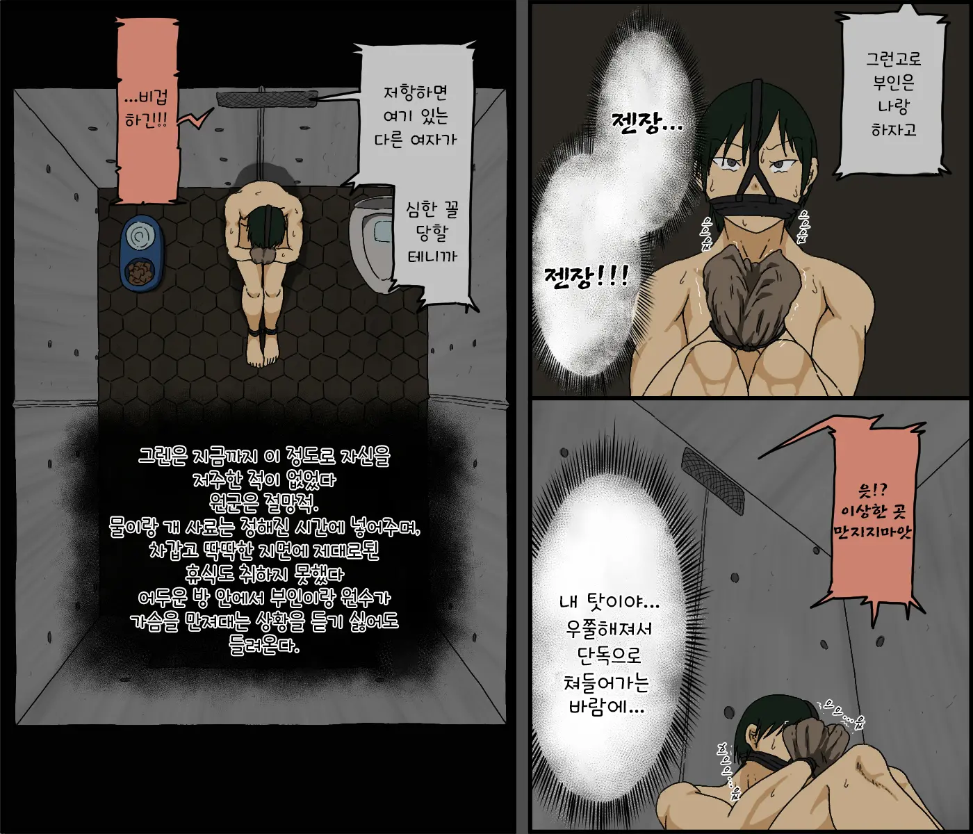 Count 100 Kikasare Tsuzuketa Teki To Tsuma No Kozukuri Voice / 카운트 100 - 계속 듣게된 적과 부인의 아이만들기 보이스