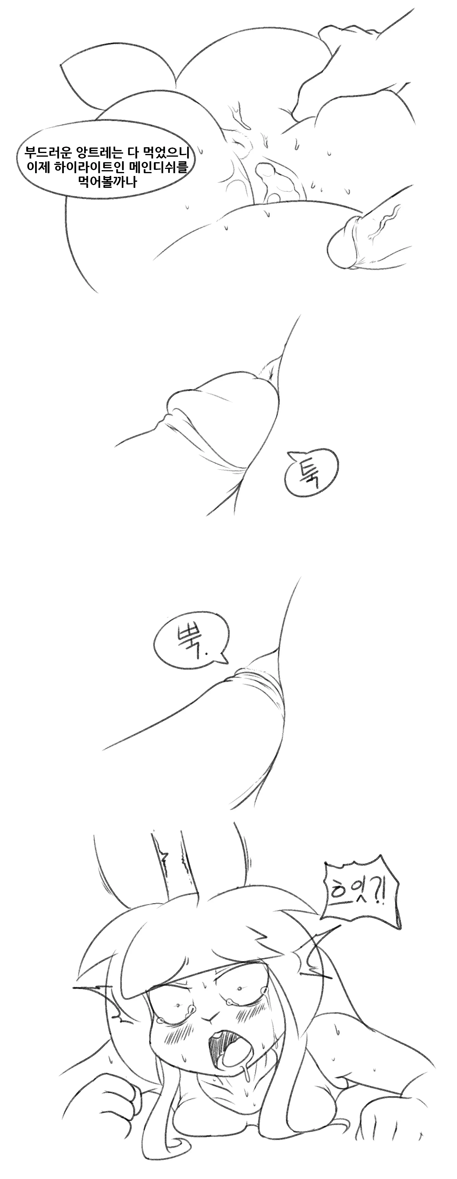 The Bunny Hole 2