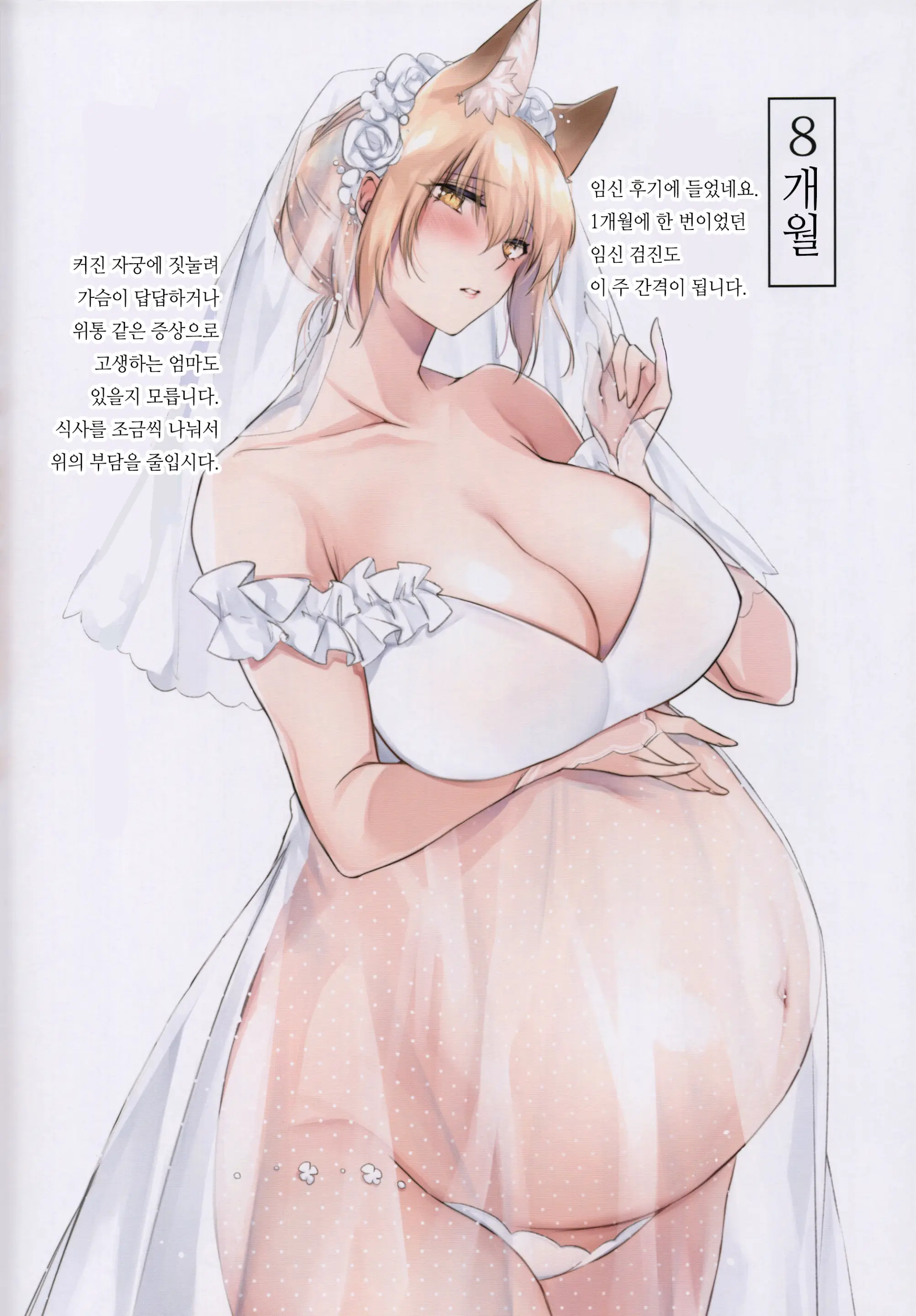 JUNE BRIDE Maternity Photo Book