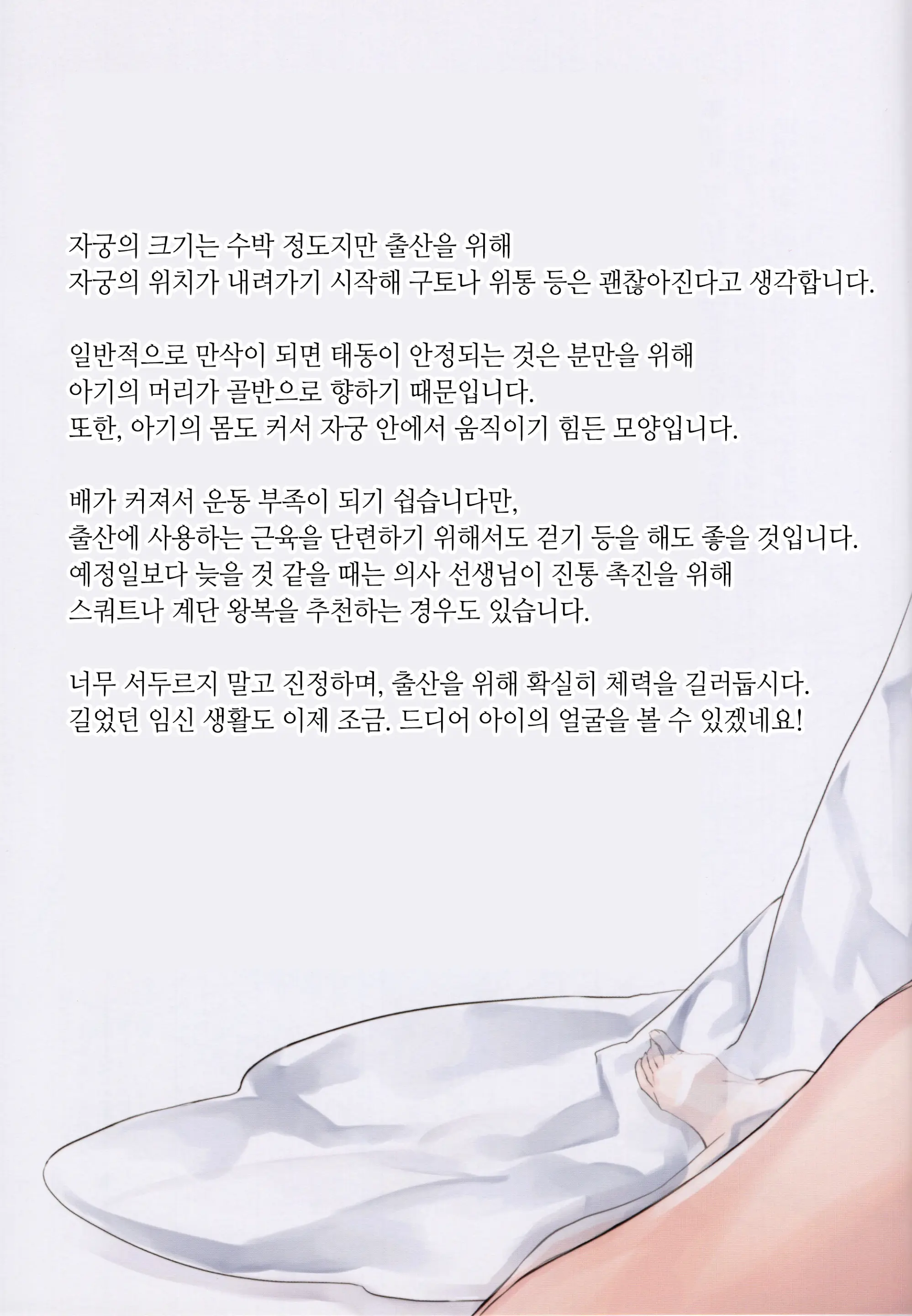 JUNE BRIDE Maternity Photo Book