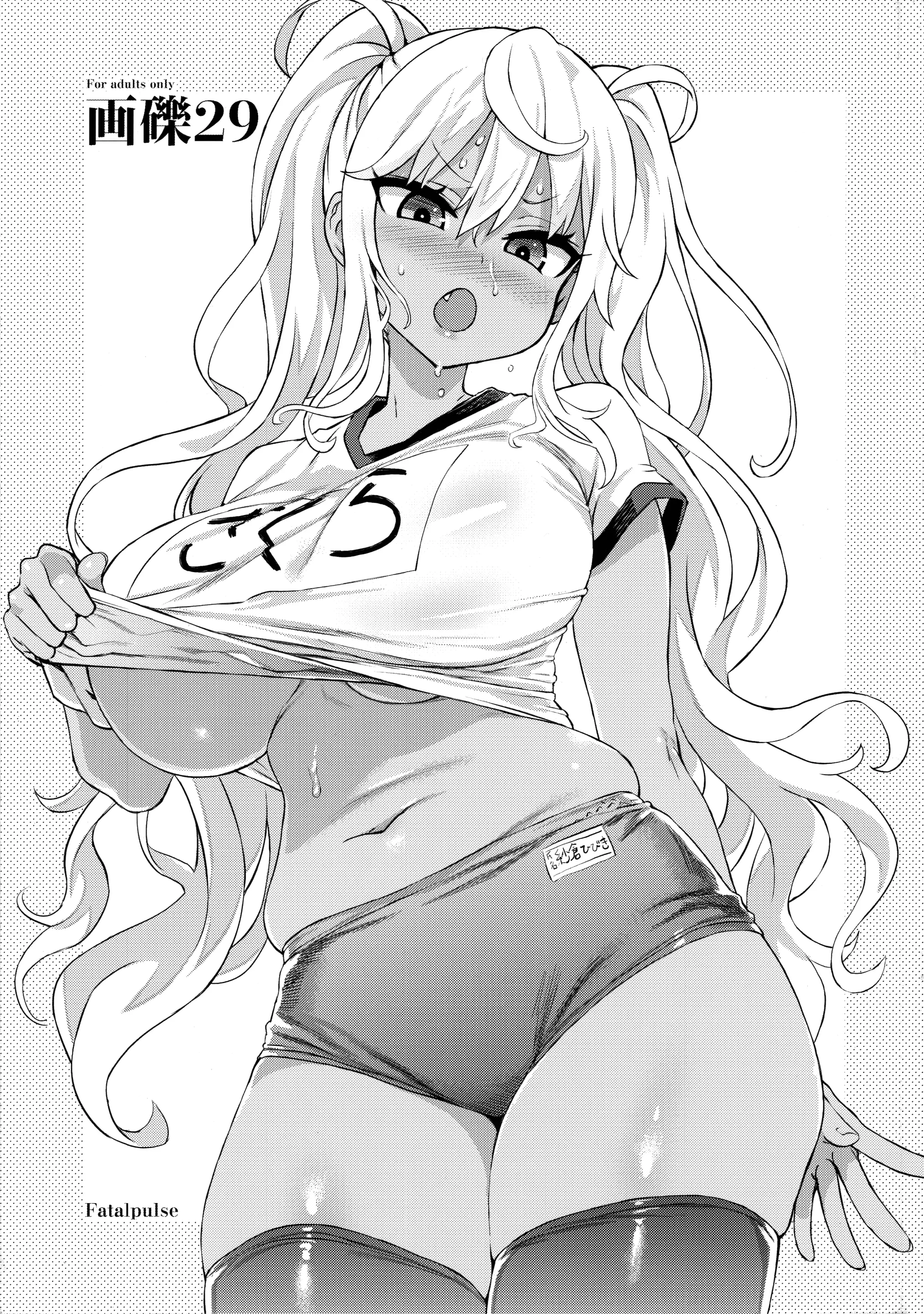 Gareki 29 + Gareki : Sai | 화력 29 + 화력 : 채
