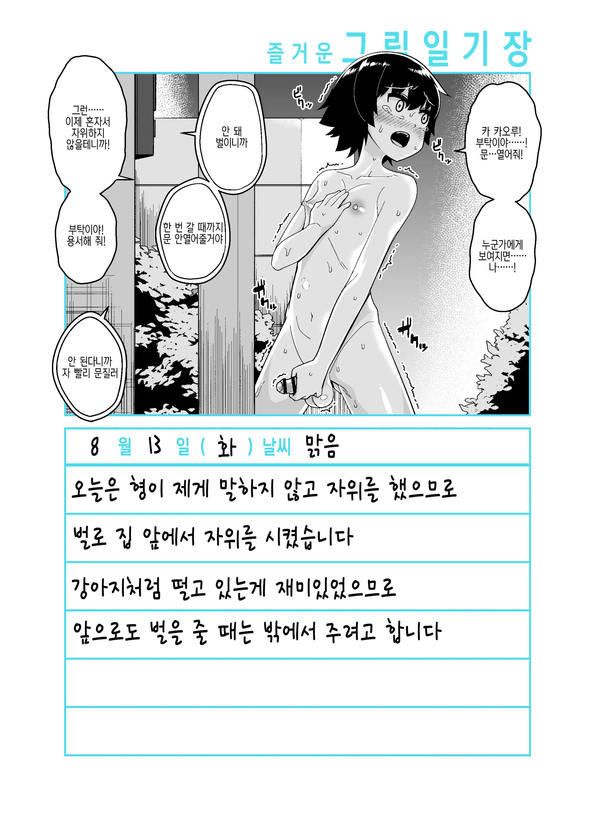 Onii-Chan Choukyou Nikki | 형 조교일기