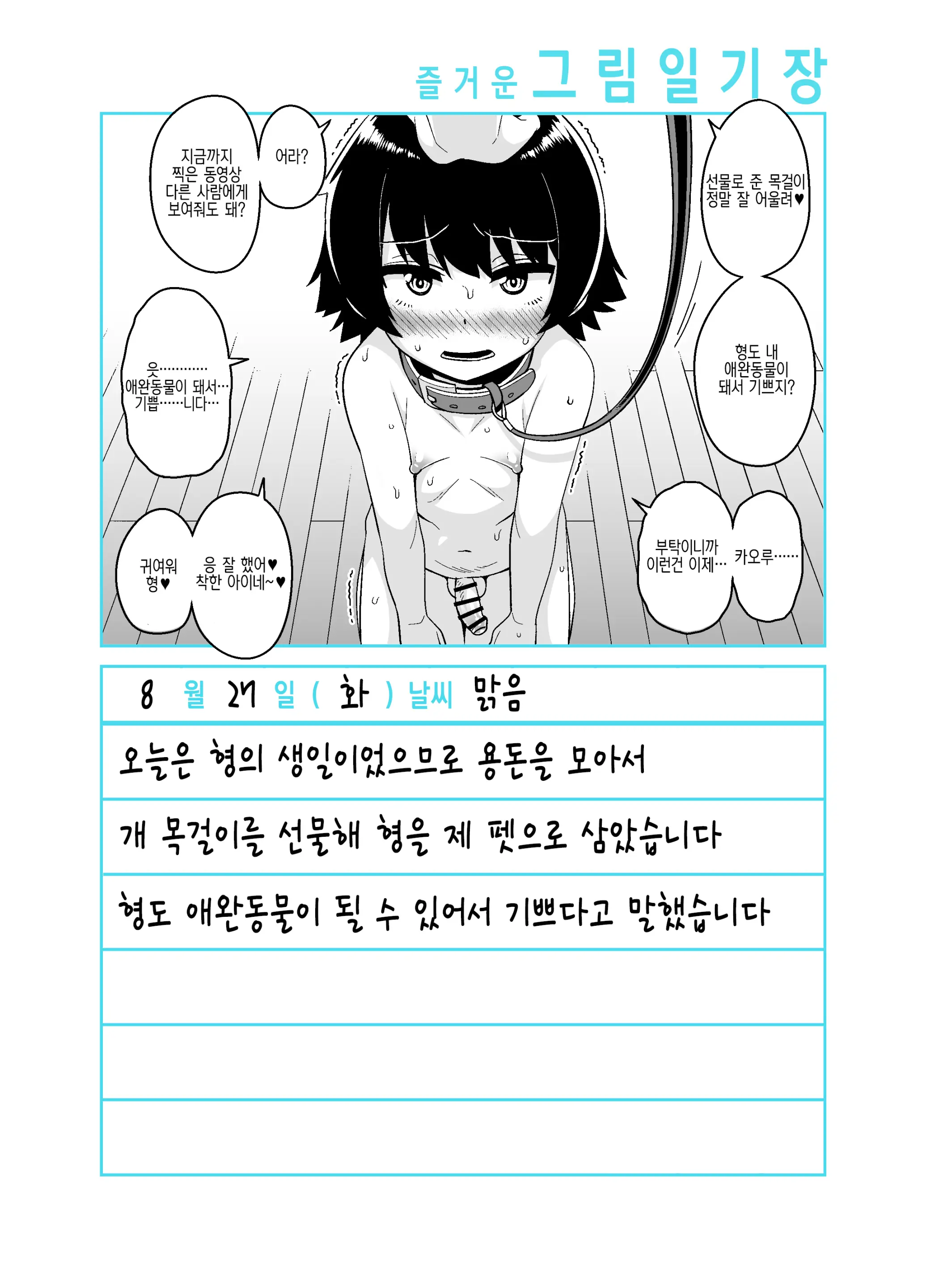 Onii-Chan Choukyou Nikki | 형 조교일기