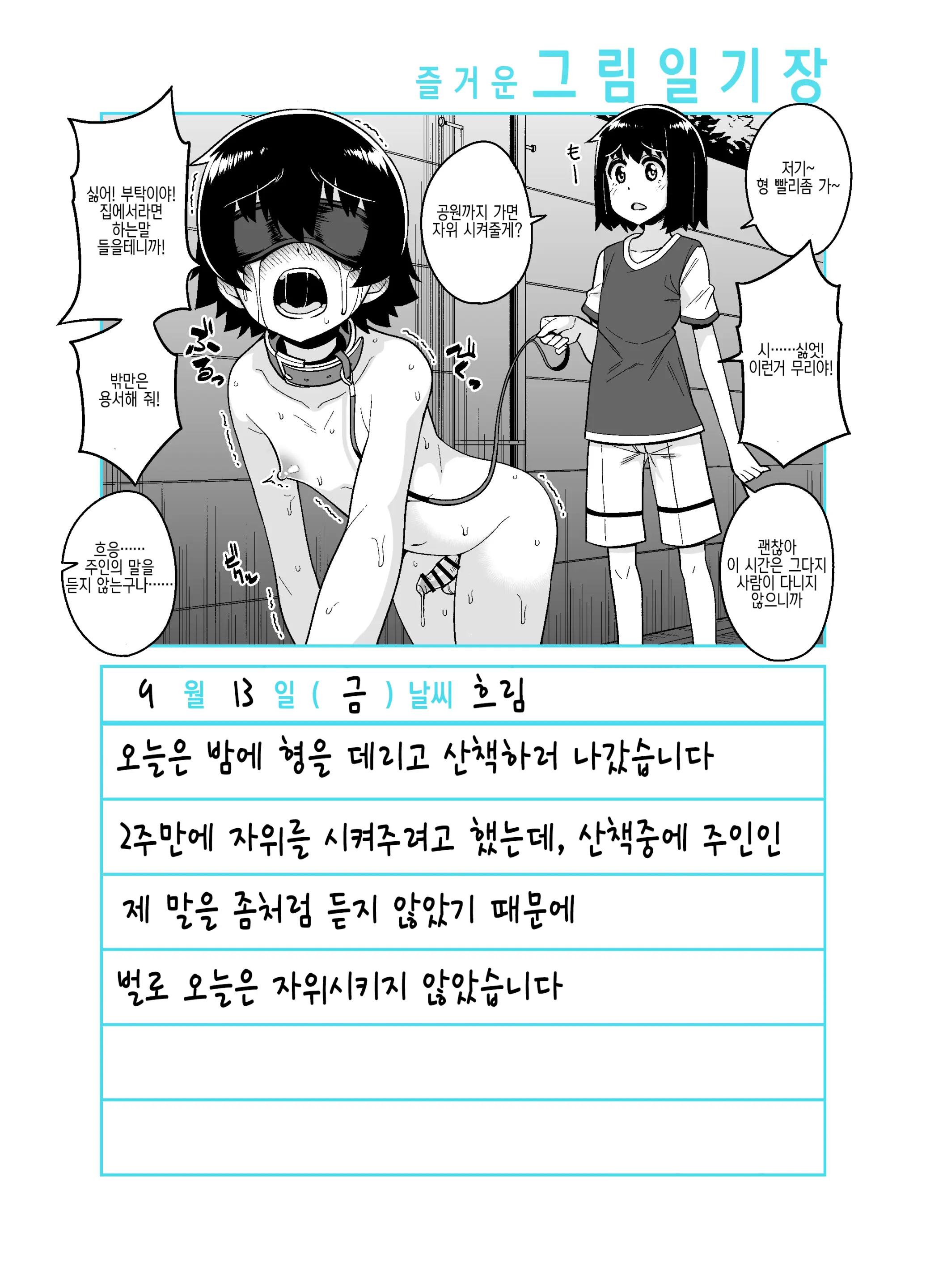 Onii-Chan Choukyou Nikki | 형 조교일기