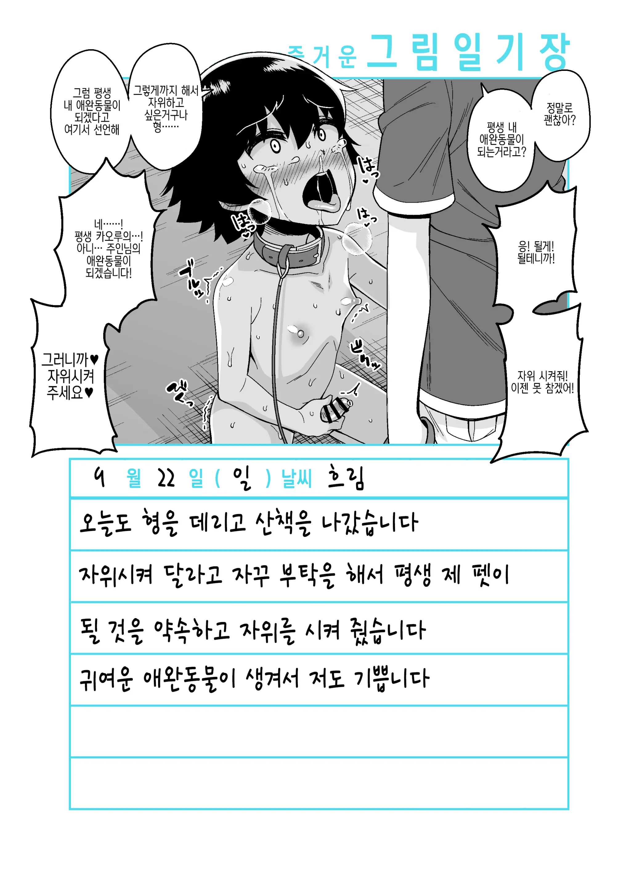 Onii-Chan Choukyou Nikki | 형 조교일기