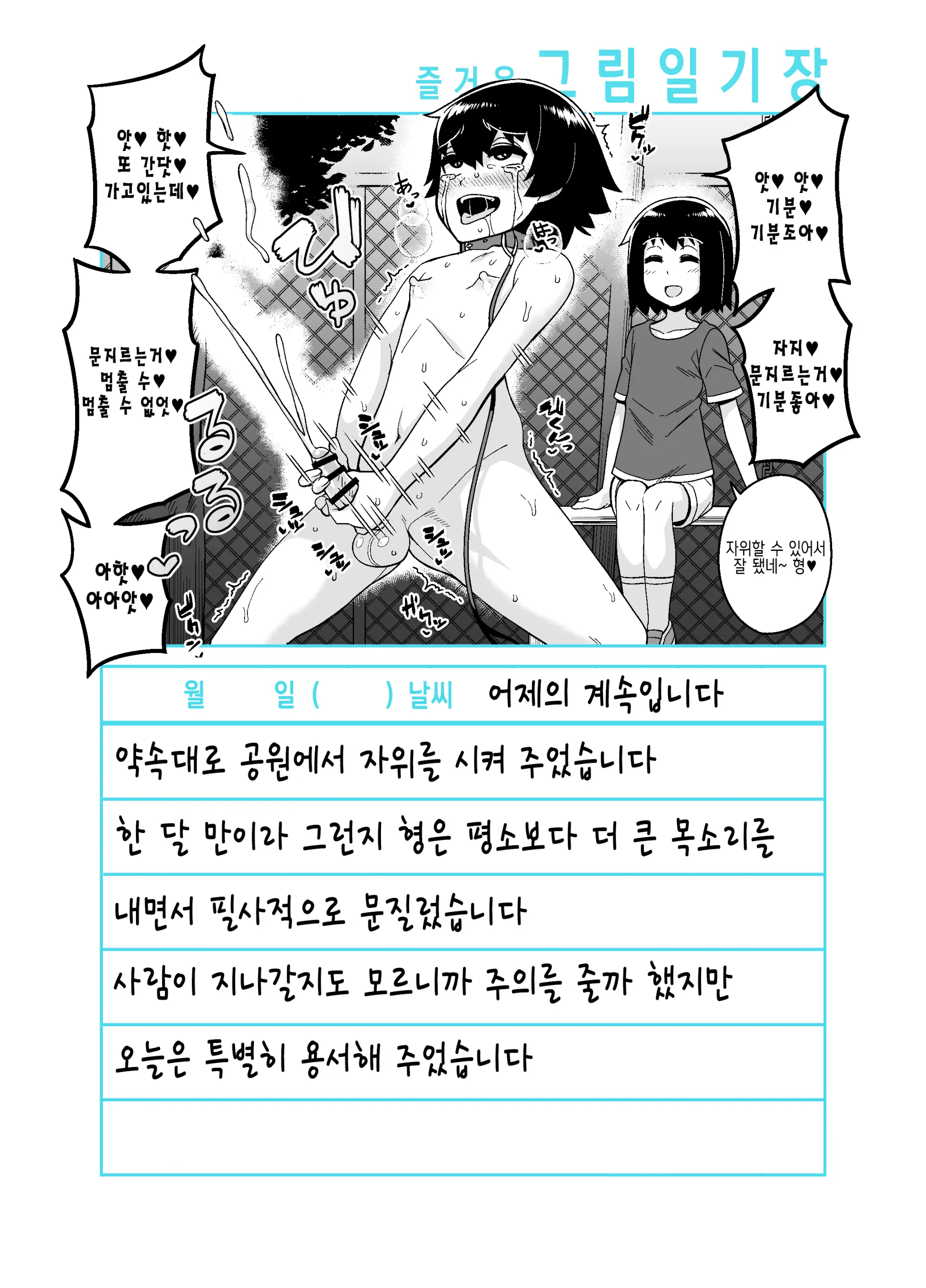Onii-Chan Choukyou Nikki | 형 조교일기