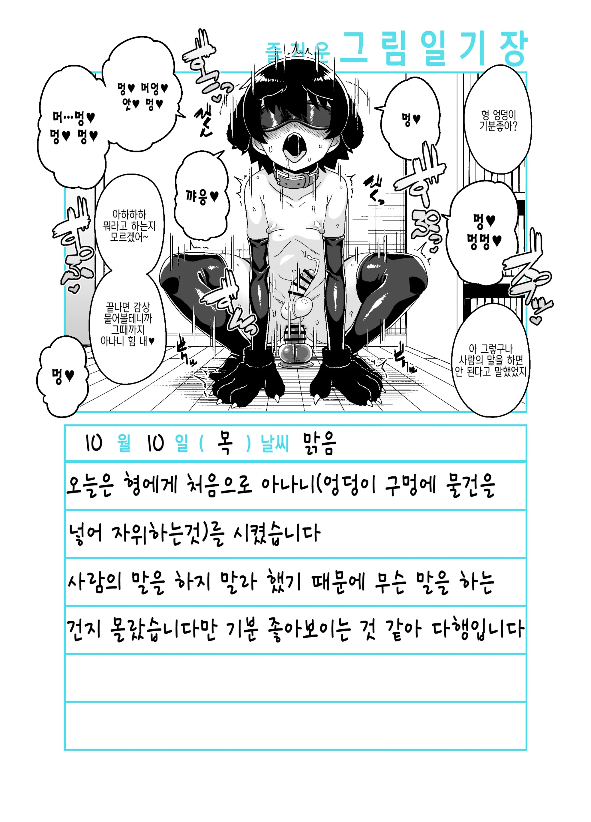 Onii-Chan Choukyou Nikki | 형 조교일기
