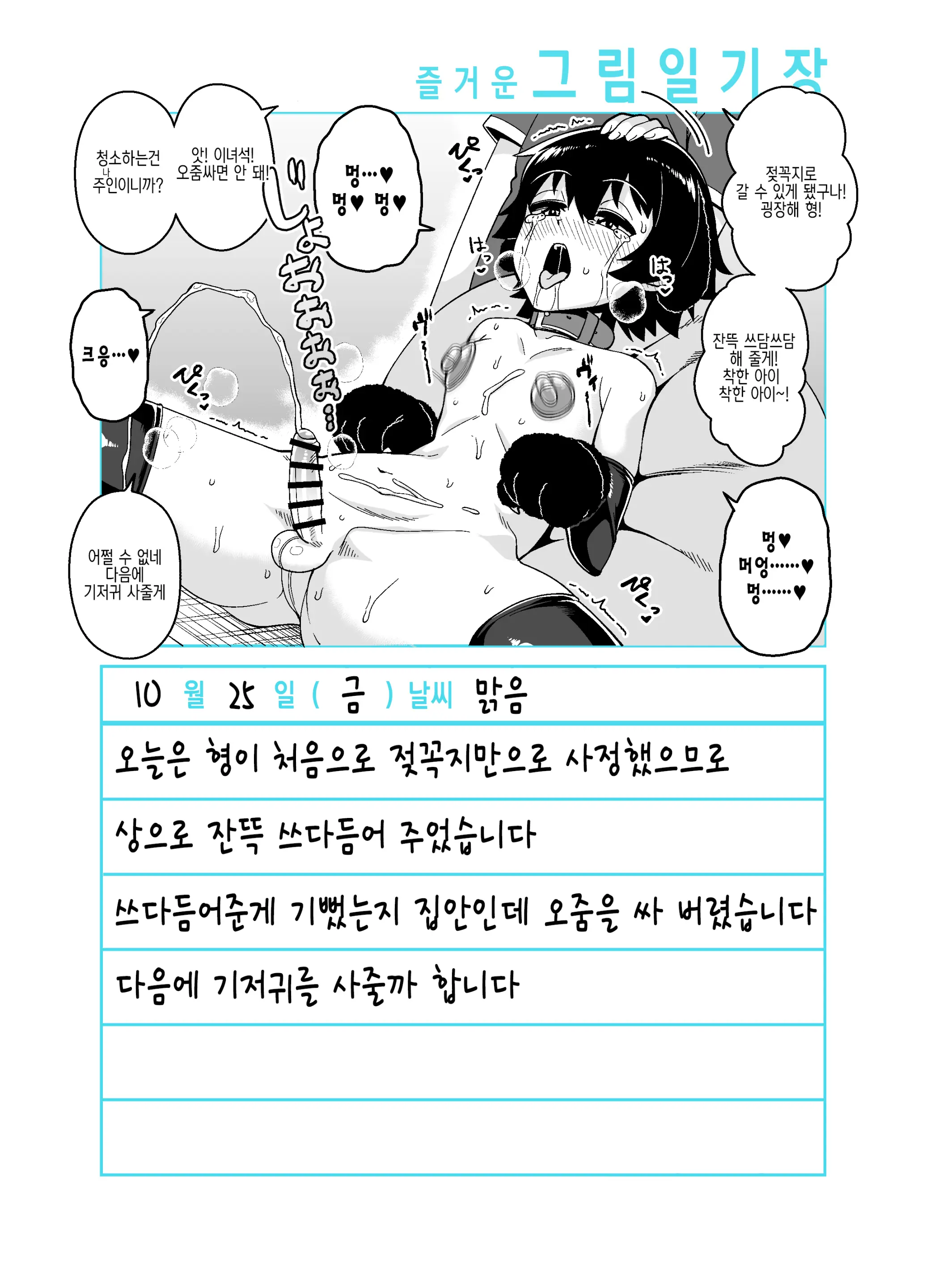 Onii-Chan Choukyou Nikki | 형 조교일기