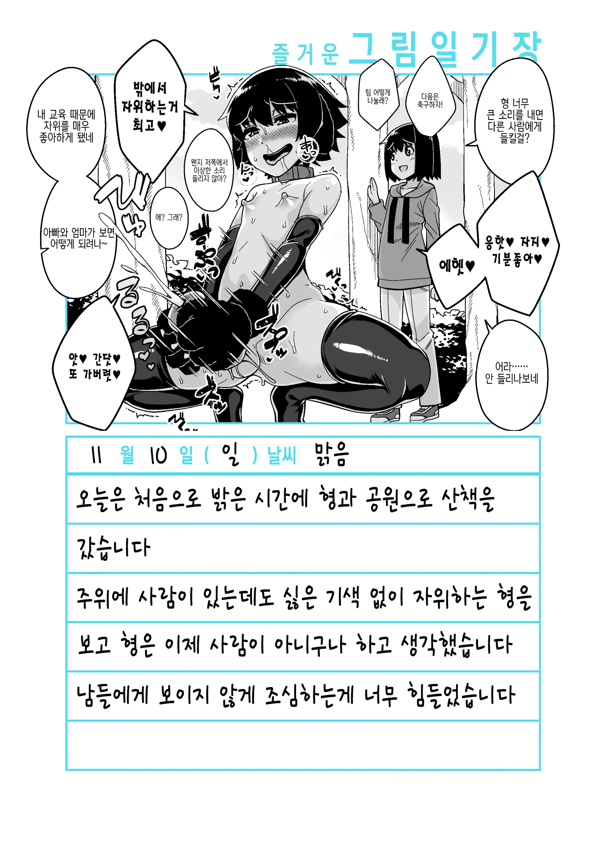 Onii-Chan Choukyou Nikki | 형 조교일기