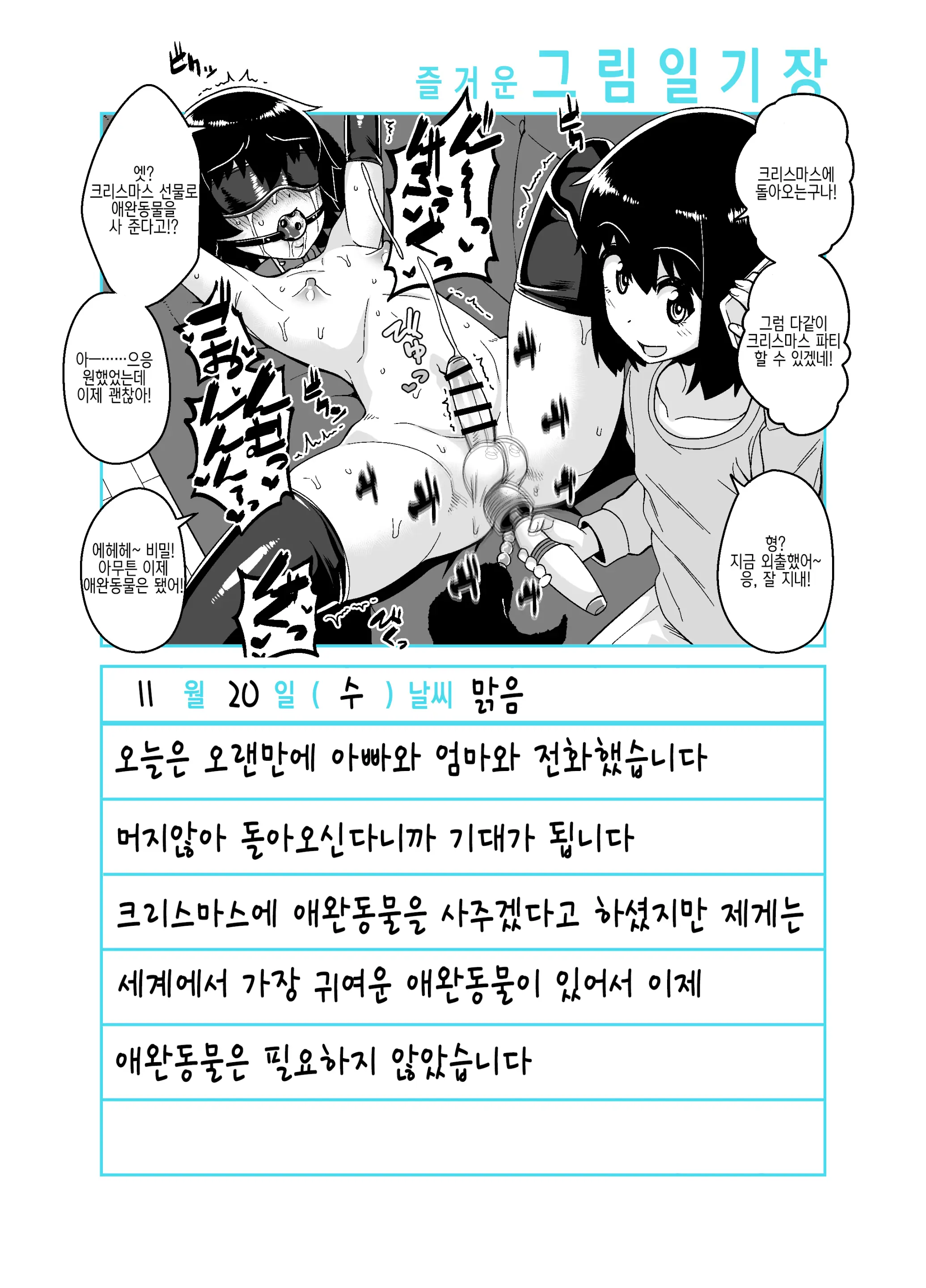 Onii-Chan Choukyou Nikki | 형 조교일기