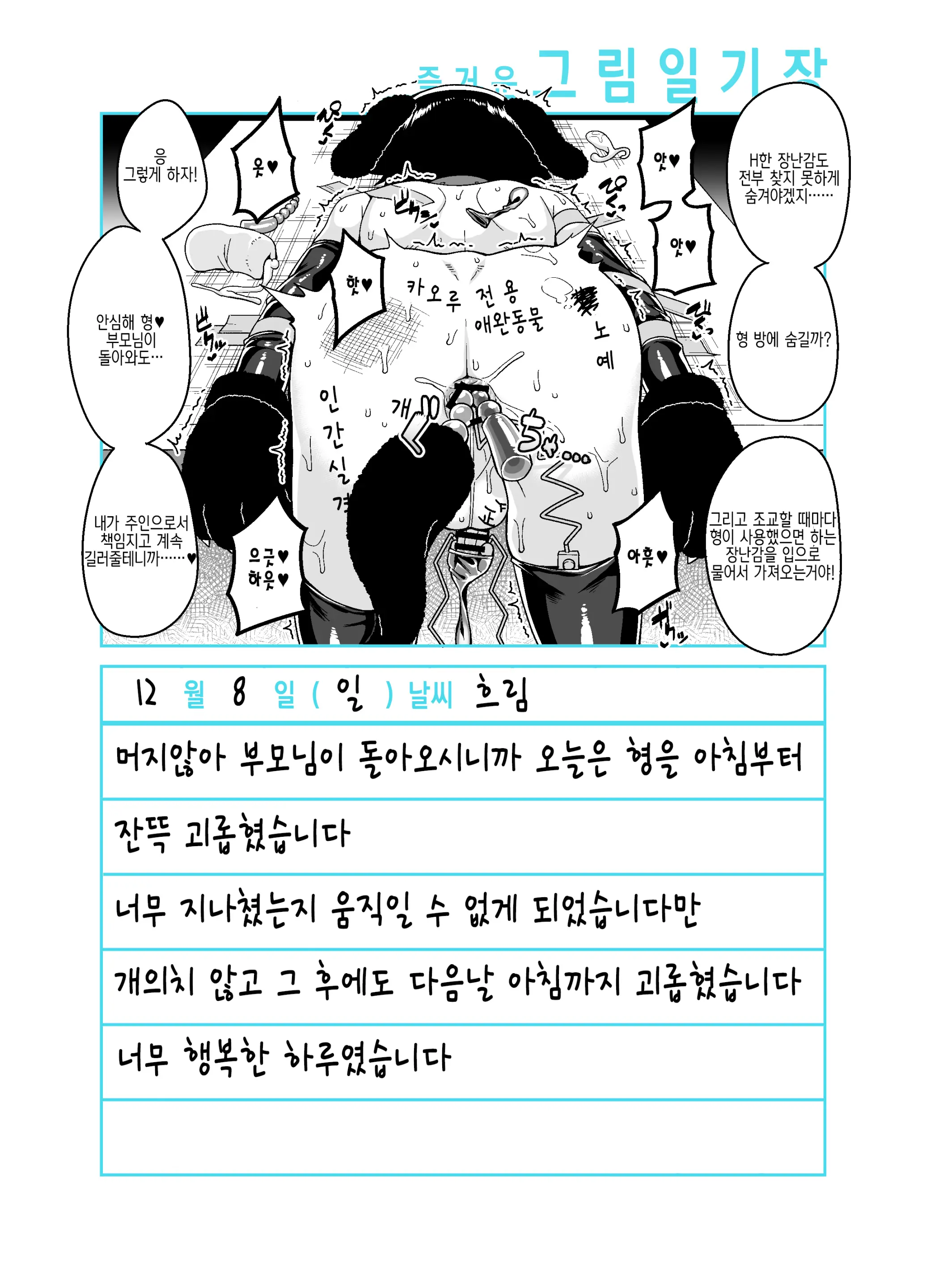 Onii-Chan Choukyou Nikki | 형 조교일기