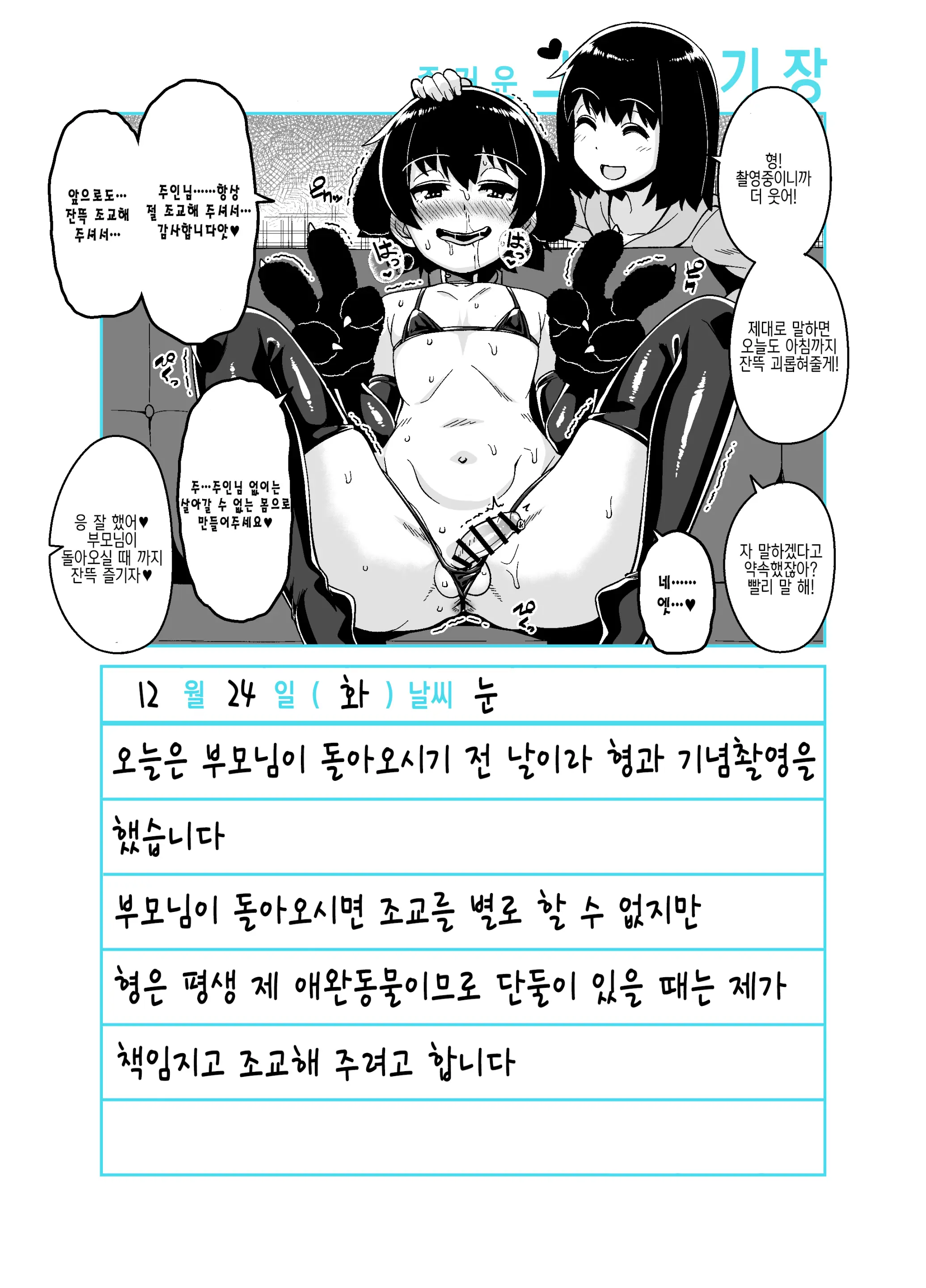 Onii-Chan Choukyou Nikki | 형 조교일기