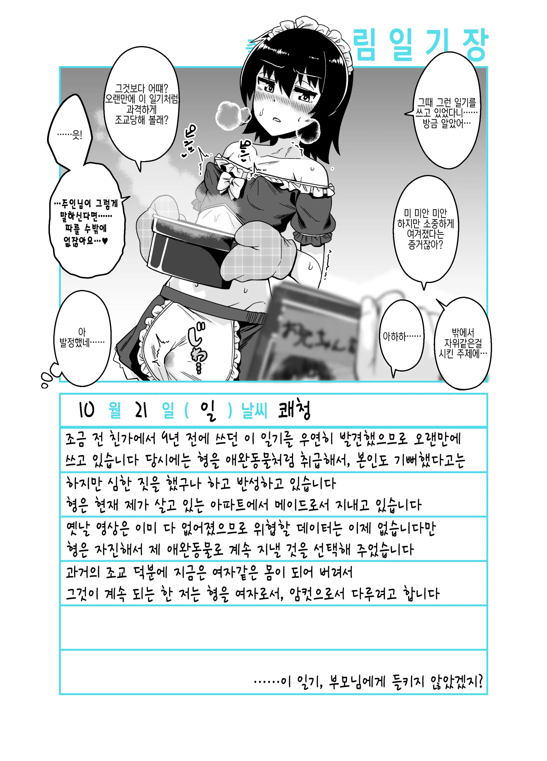 Onii-Chan Choukyou Nikki | 형 조교일기