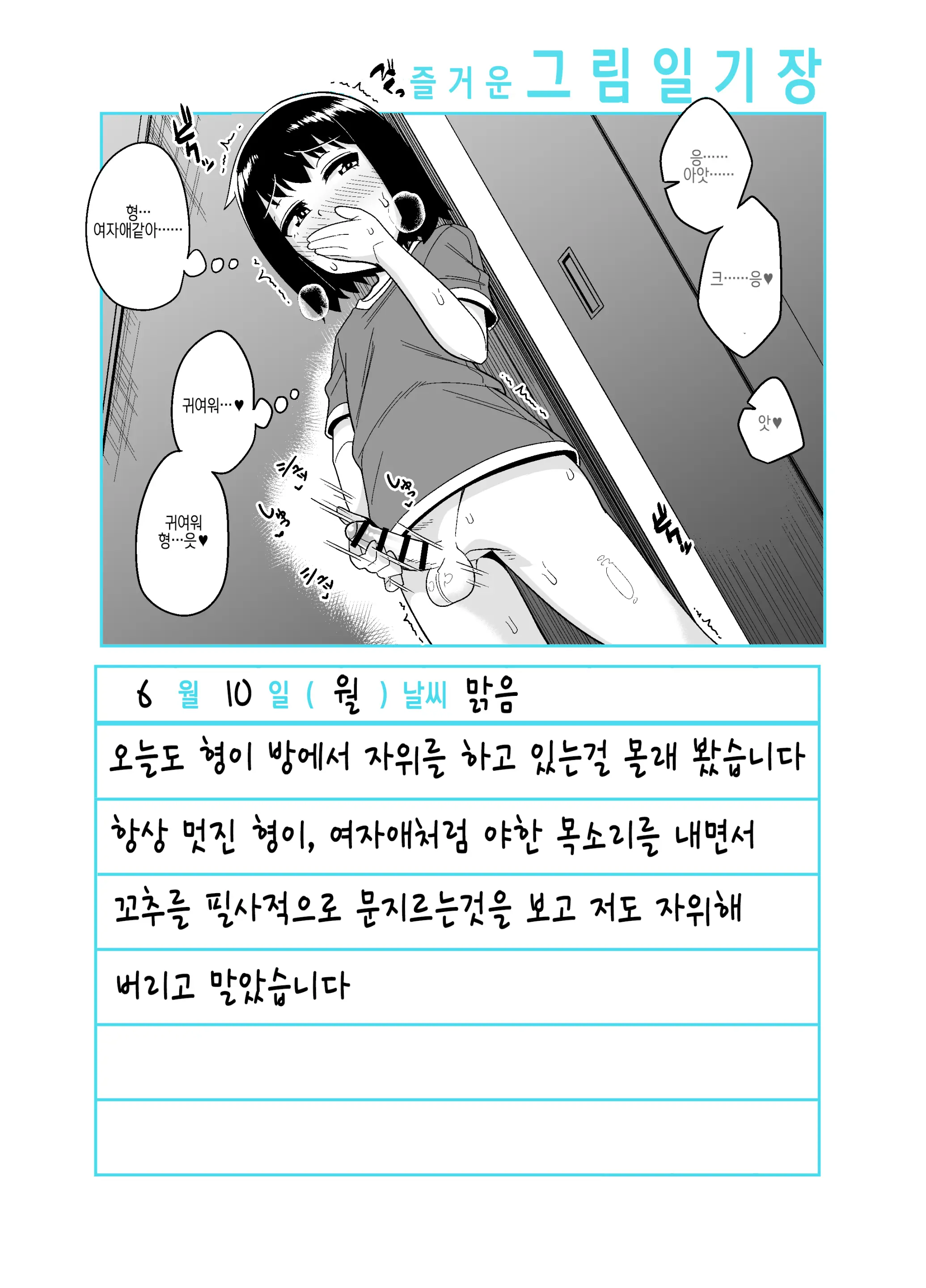 Onii-Chan Choukyou Nikki | 형 조교일기