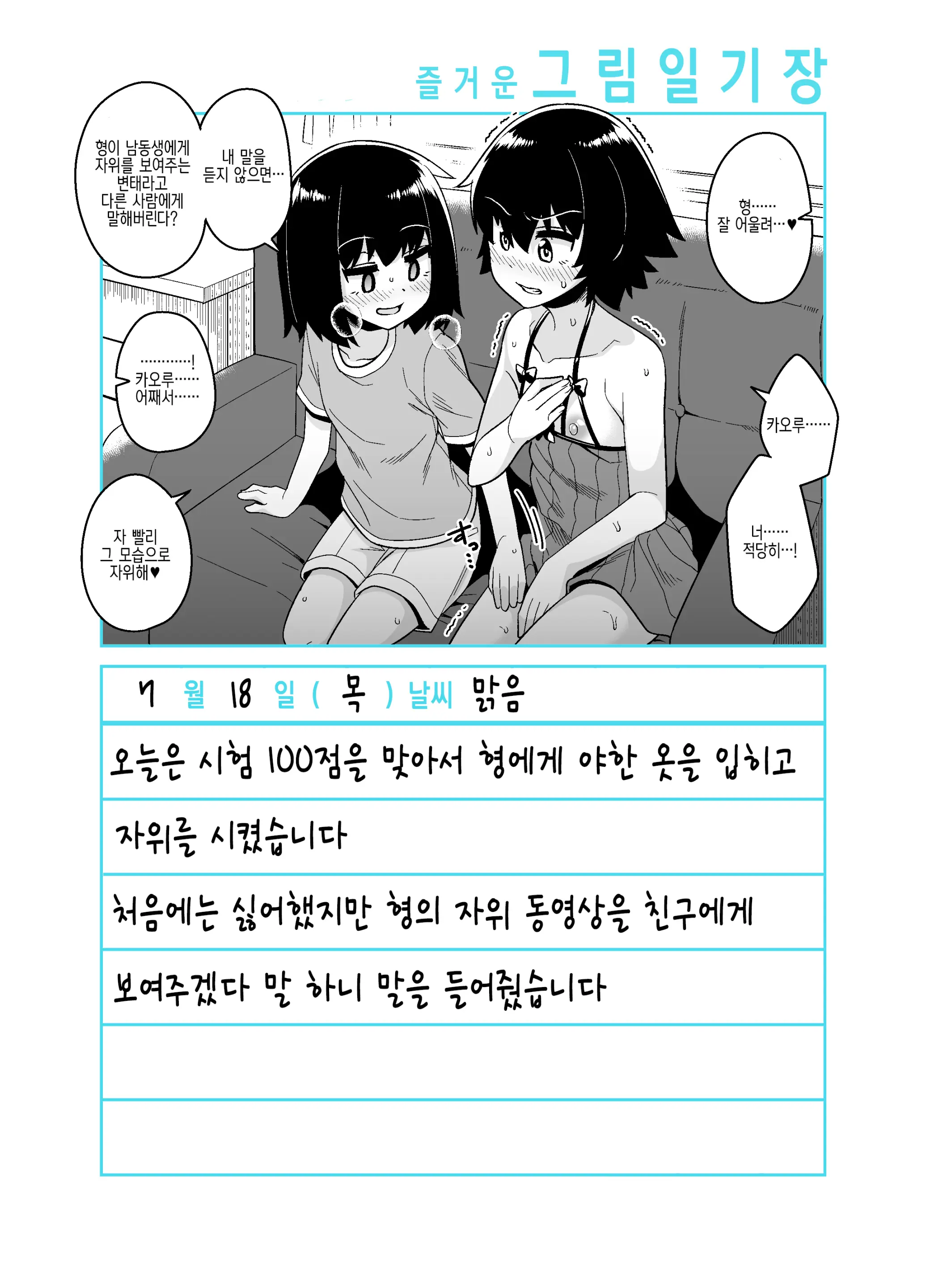 Onii-Chan Choukyou Nikki | 형 조교일기