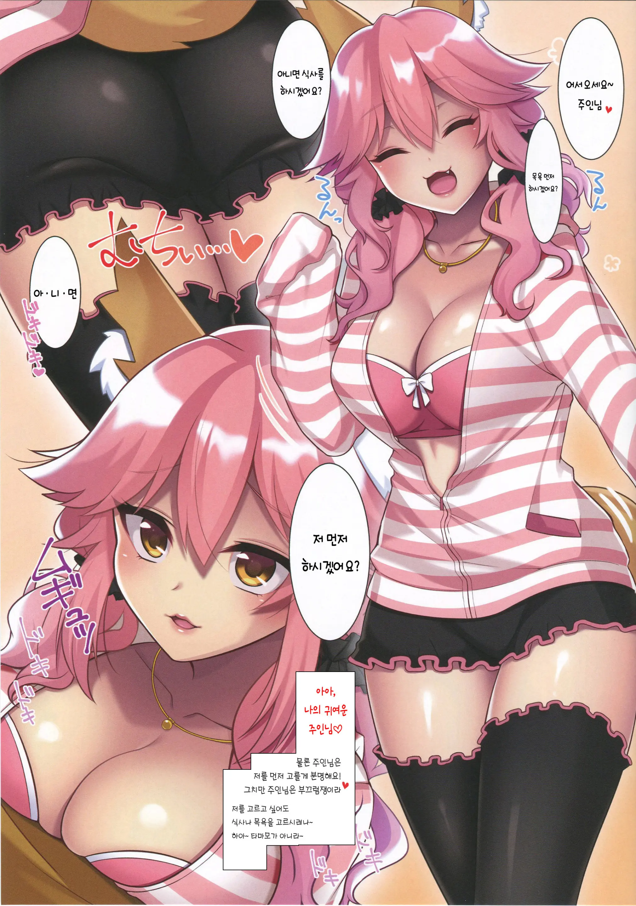 Tamamo-Chan To Ecchi Suru Hon | 타마모 쨩이랑 섹스하는 책