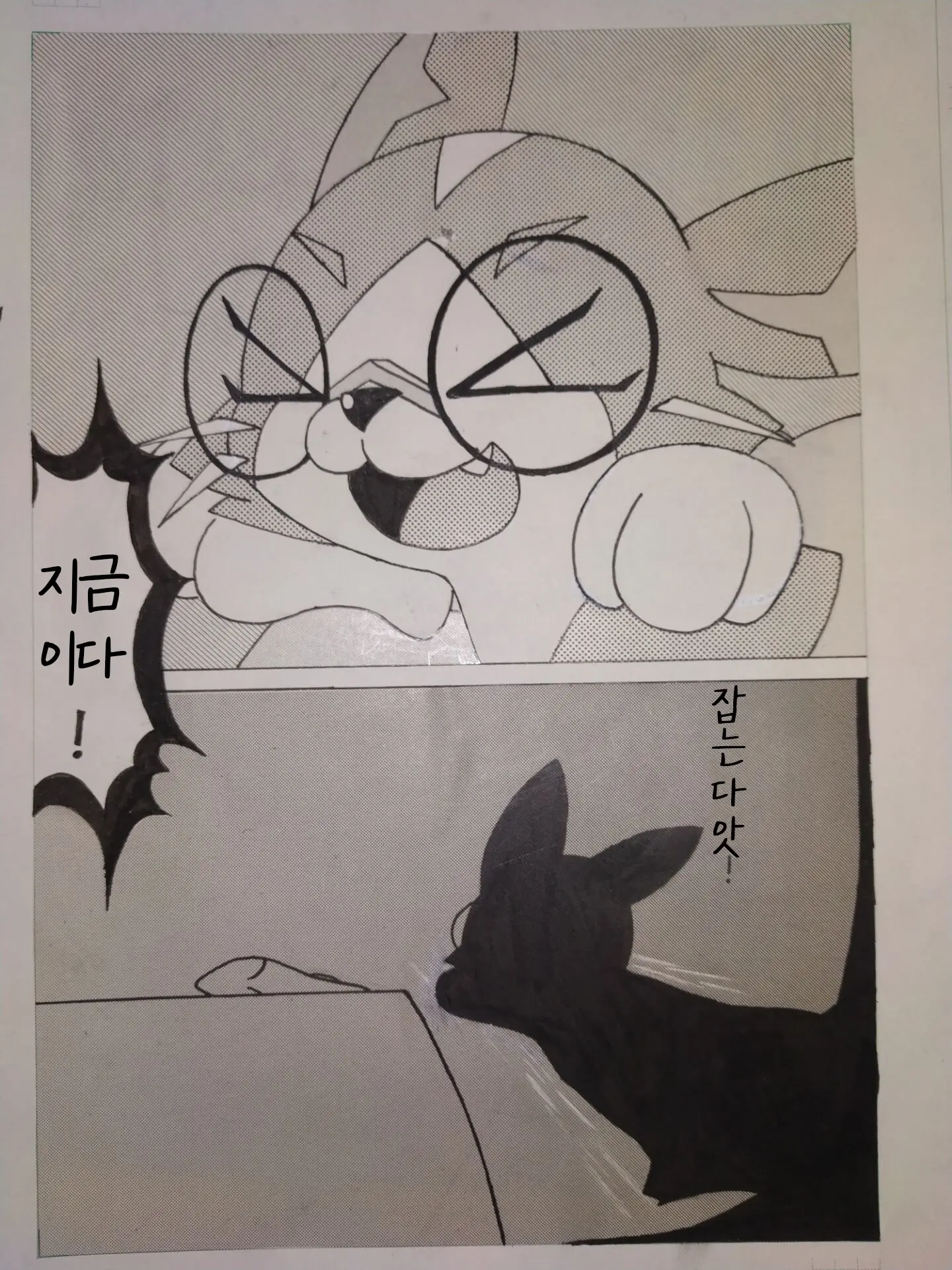 喵缚
