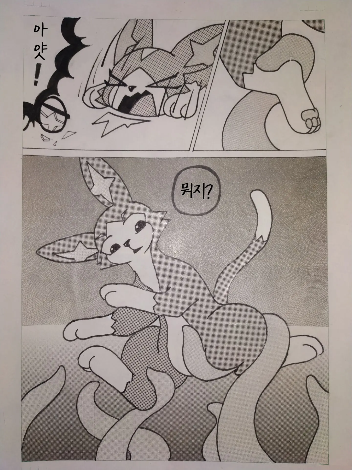 喵缚