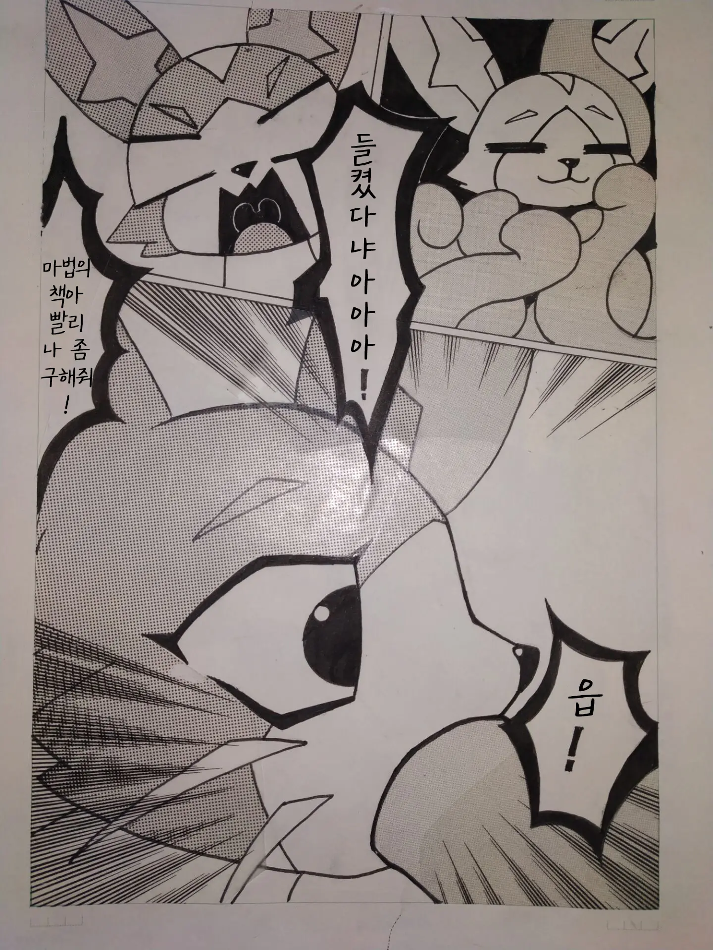 喵缚