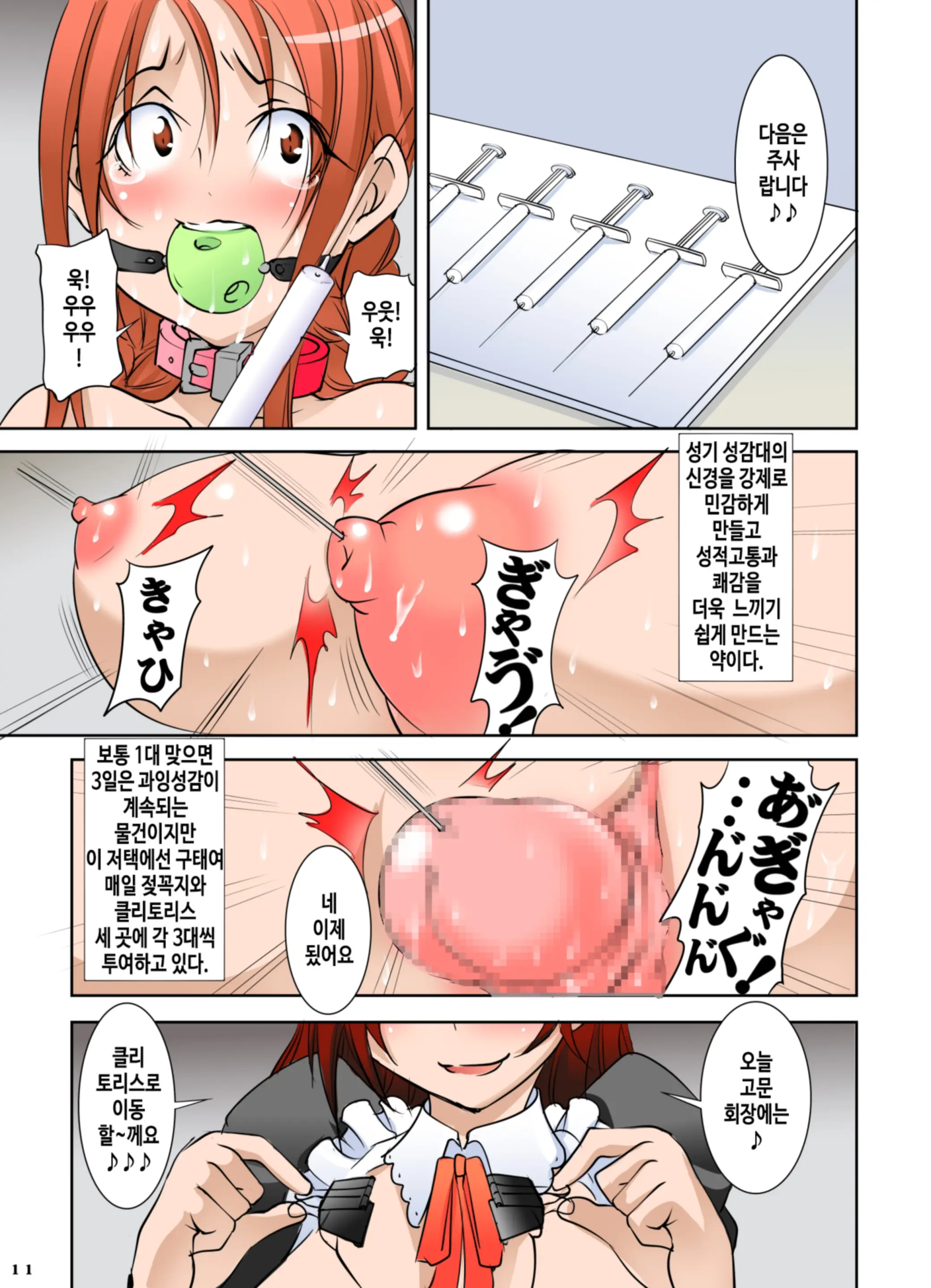 Shishi Setsudan Shoujo Goumon Gyakutai-Kan No Maid-San