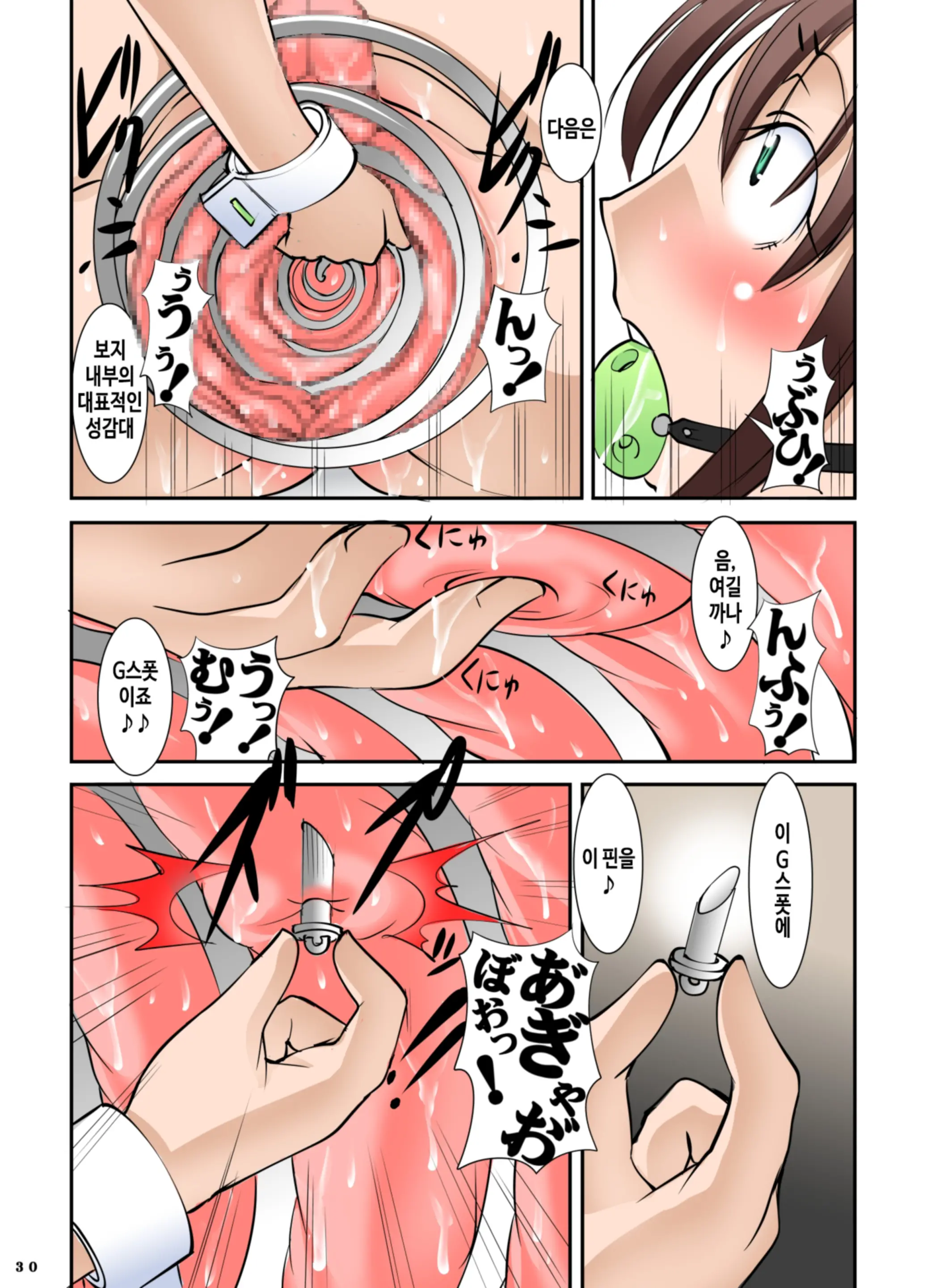 Shishi Setsudan Shoujo Goumon Gyakutai-Kan No Maid-San 2