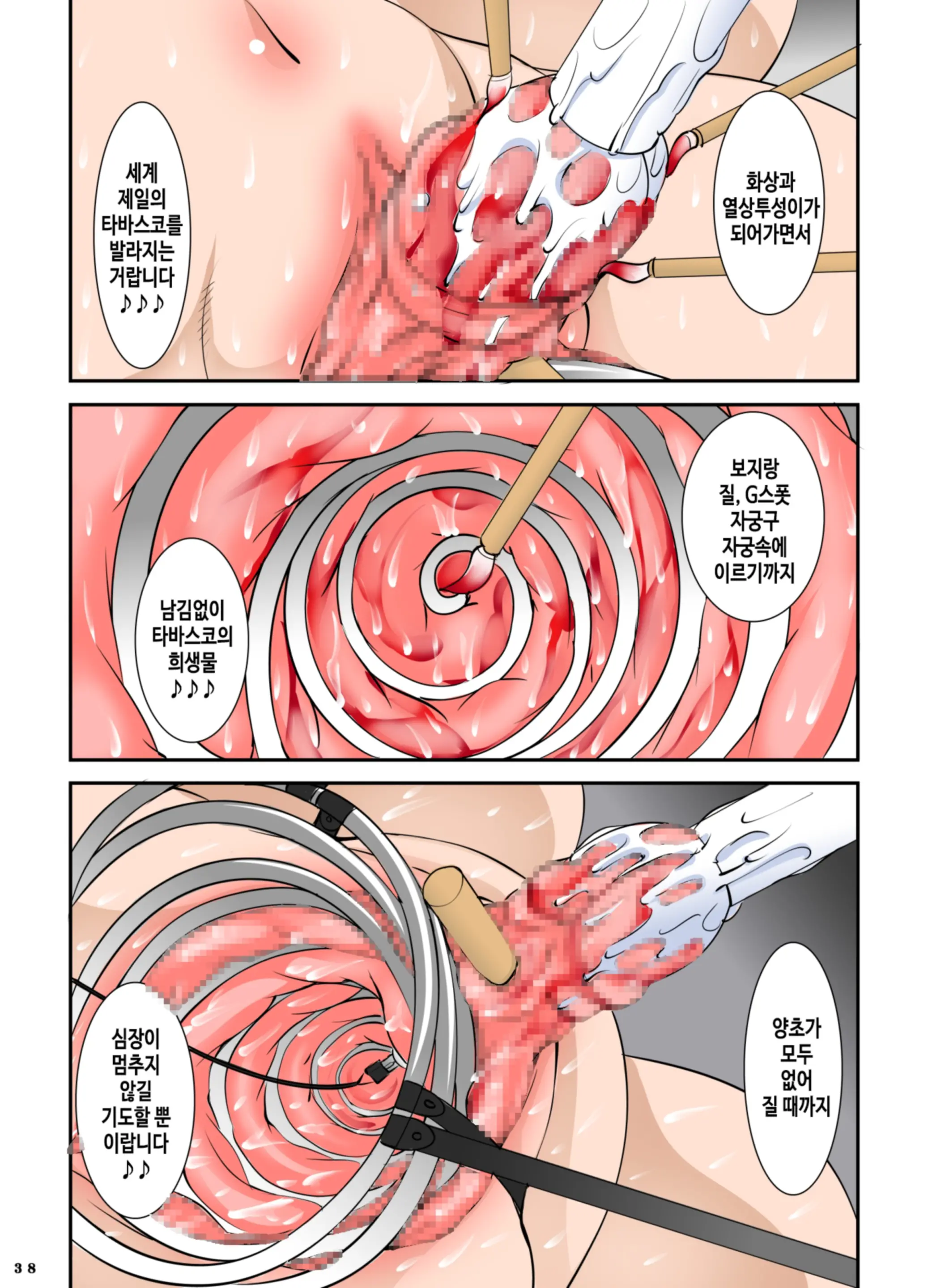 Shishi Setsudan Shoujo Goumon Gyakutai-Kan No Maid-San 2
