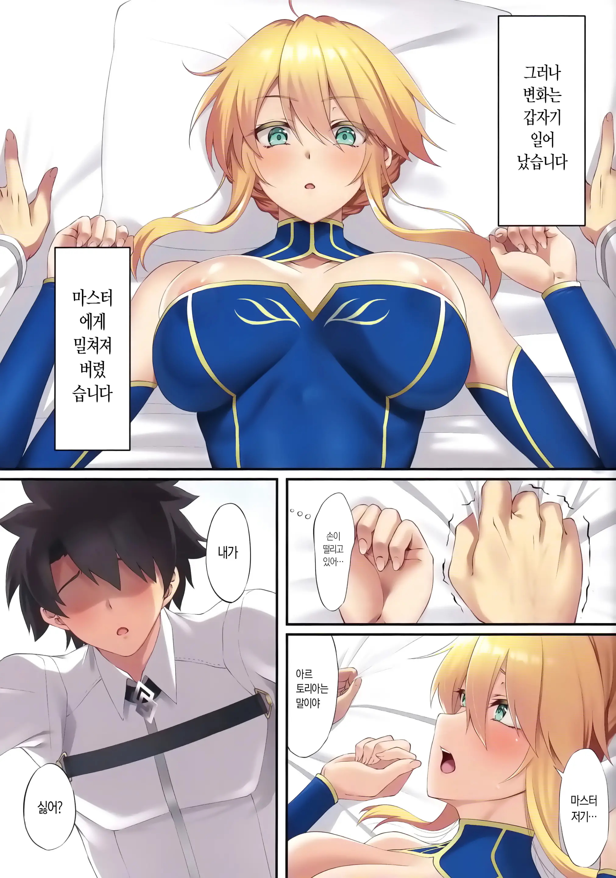 FDO Fate/Dosukebe Order VOL.8.0 | FDO 페이트/왕변태 오더 VOL.8.0