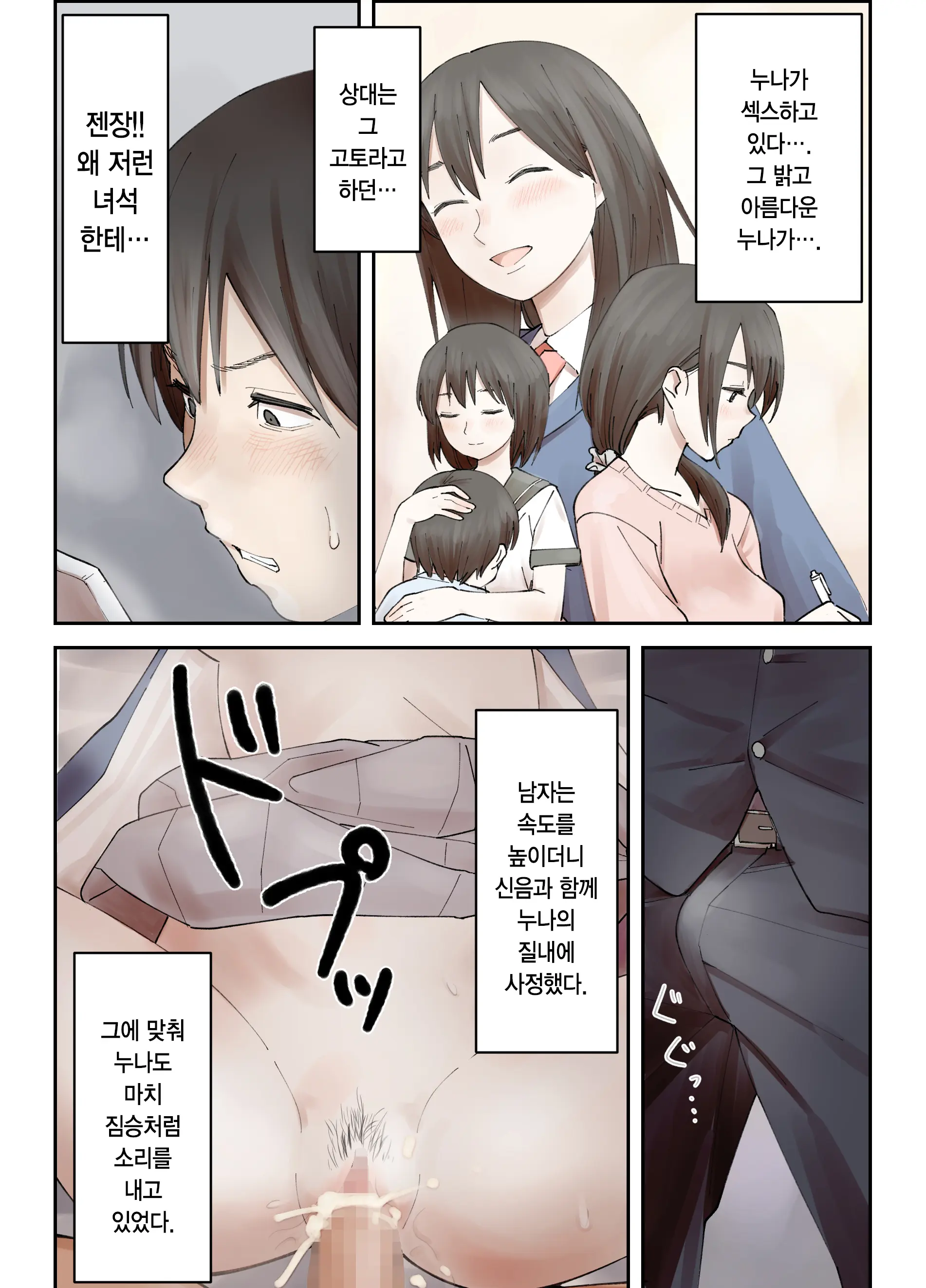 Boku No Daisuki Na Ane Ga Nande Anna Yatsu Ni...... | 내가 제일 좋아하는 누나가 어째서 그런 놈한테……