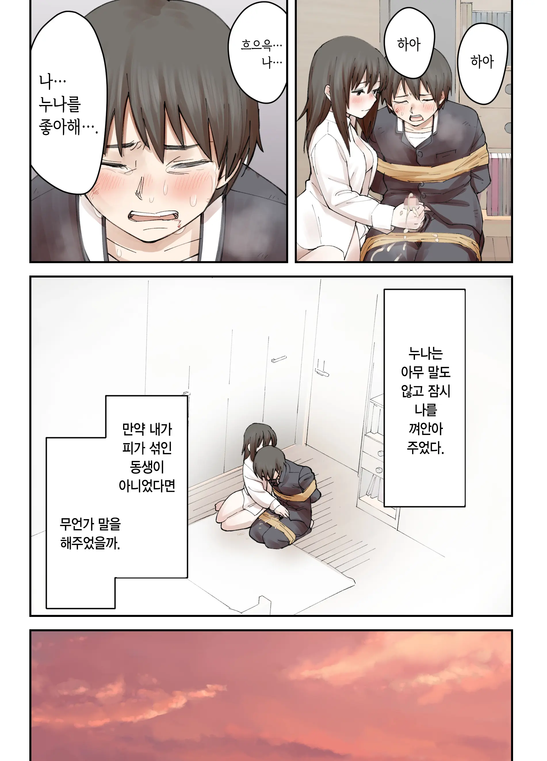 Boku No Daisuki Na Ane Ga Nande Anna Yatsu Ni...... | 내가 제일 좋아하는 누나가 어째서 그런 놈한테……