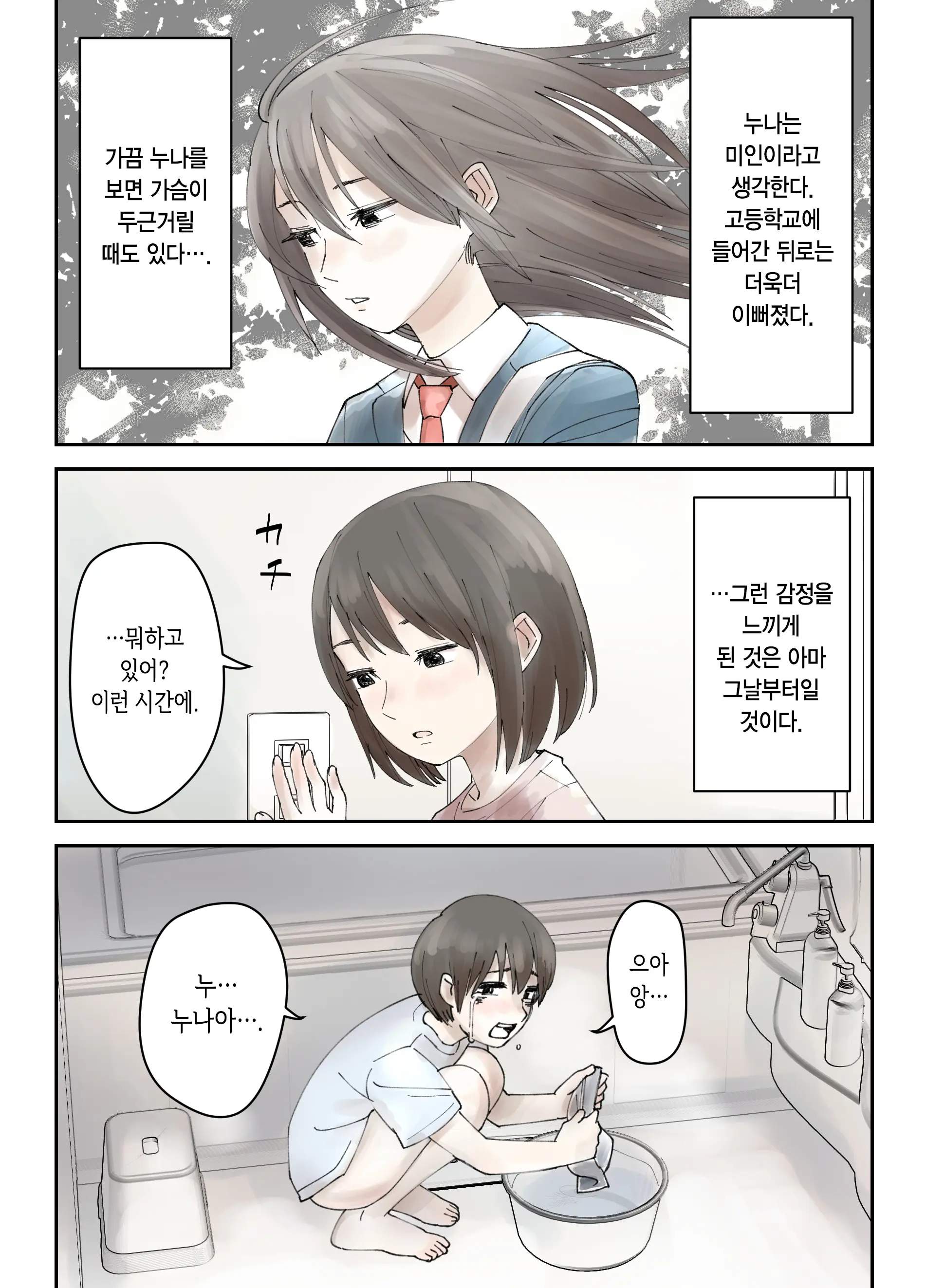 Boku No Daisuki Na Ane Ga Nande Anna Yatsu Ni...... | 내가 제일 좋아하는 누나가 어째서 그런 놈한테……