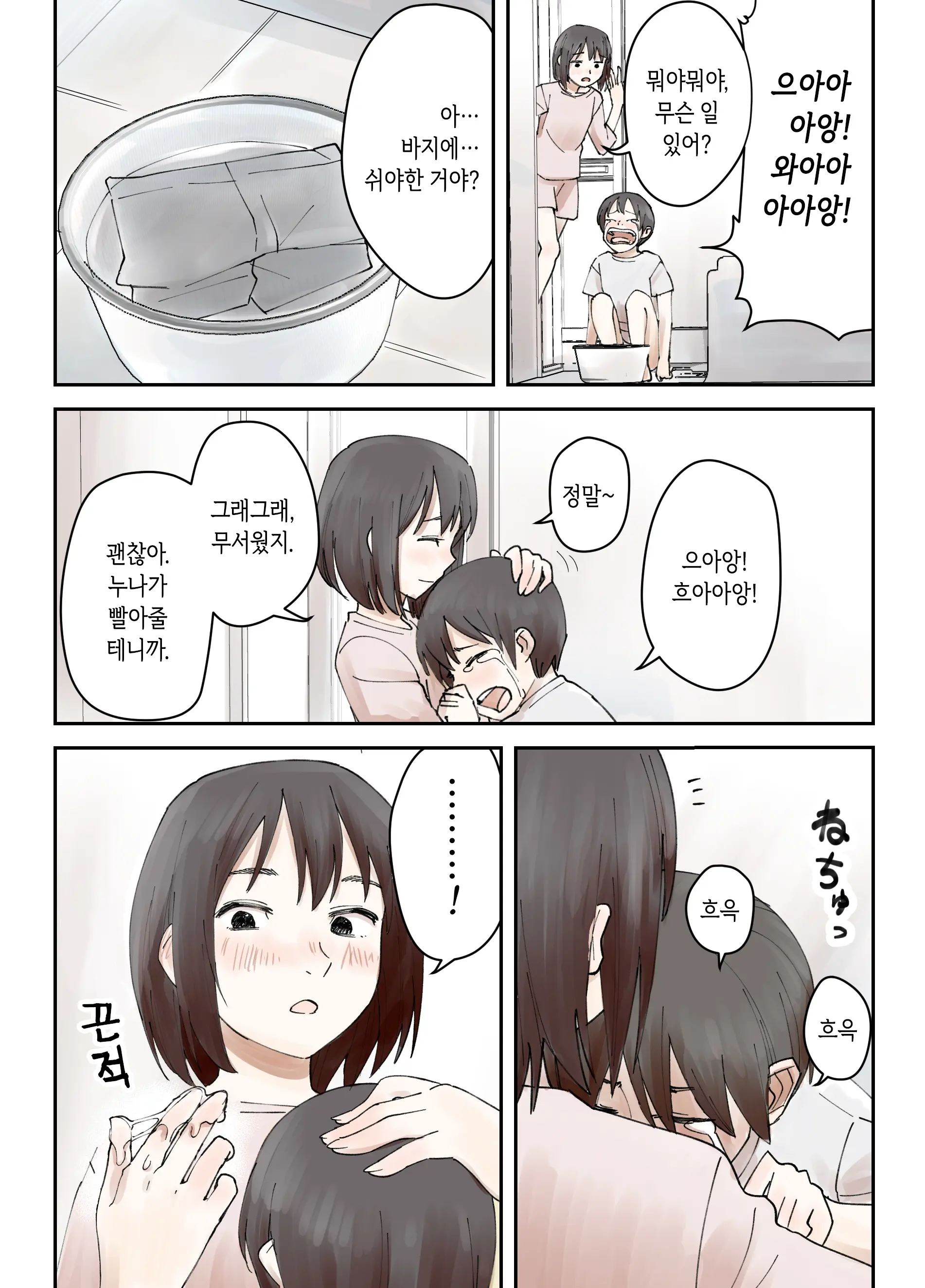 Boku No Daisuki Na Ane Ga Nande Anna Yatsu Ni...... | 내가 제일 좋아하는 누나가 어째서 그런 놈한테……