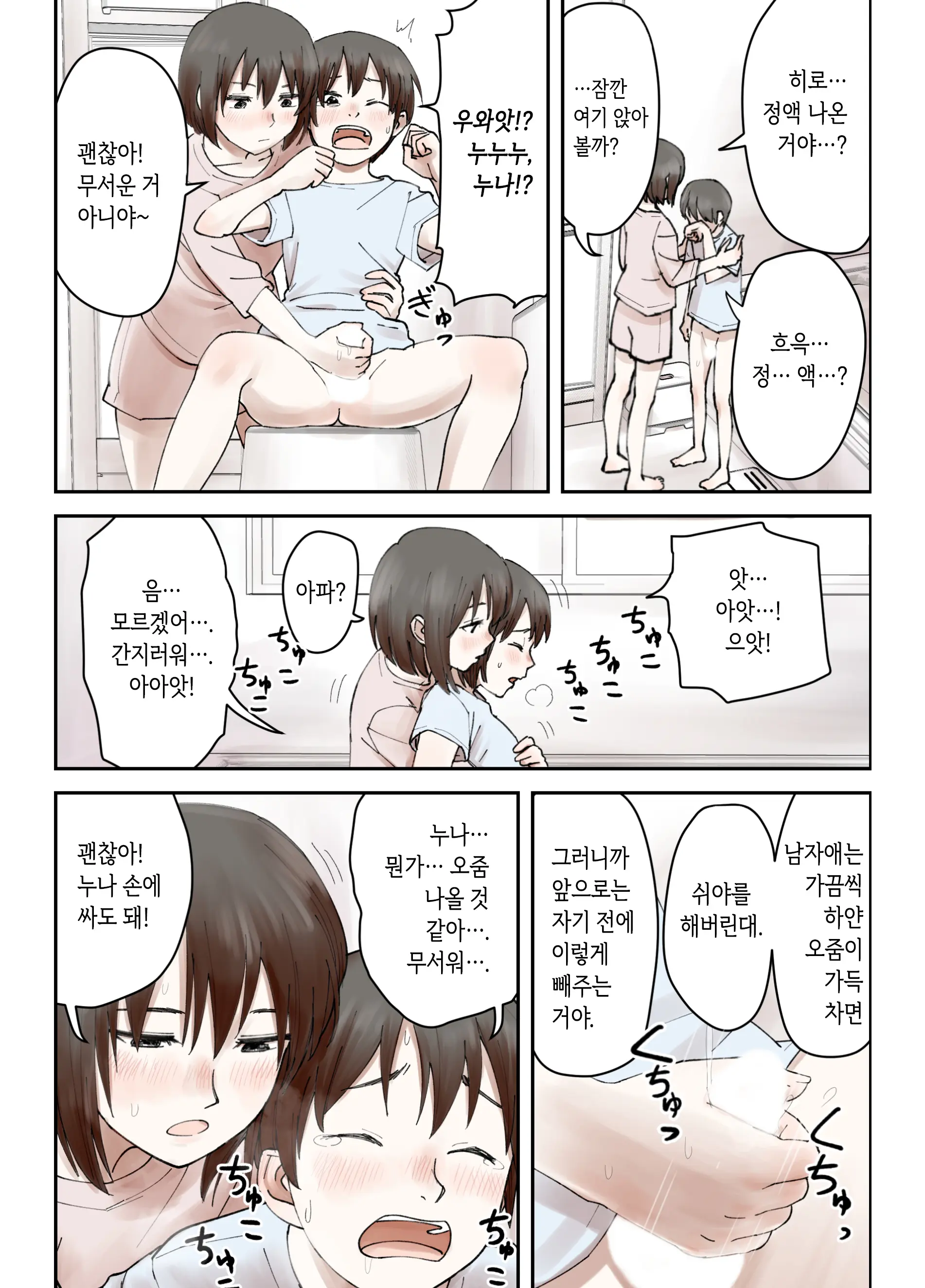 Boku No Daisuki Na Ane Ga Nande Anna Yatsu Ni...... | 내가 제일 좋아하는 누나가 어째서 그런 놈한테……