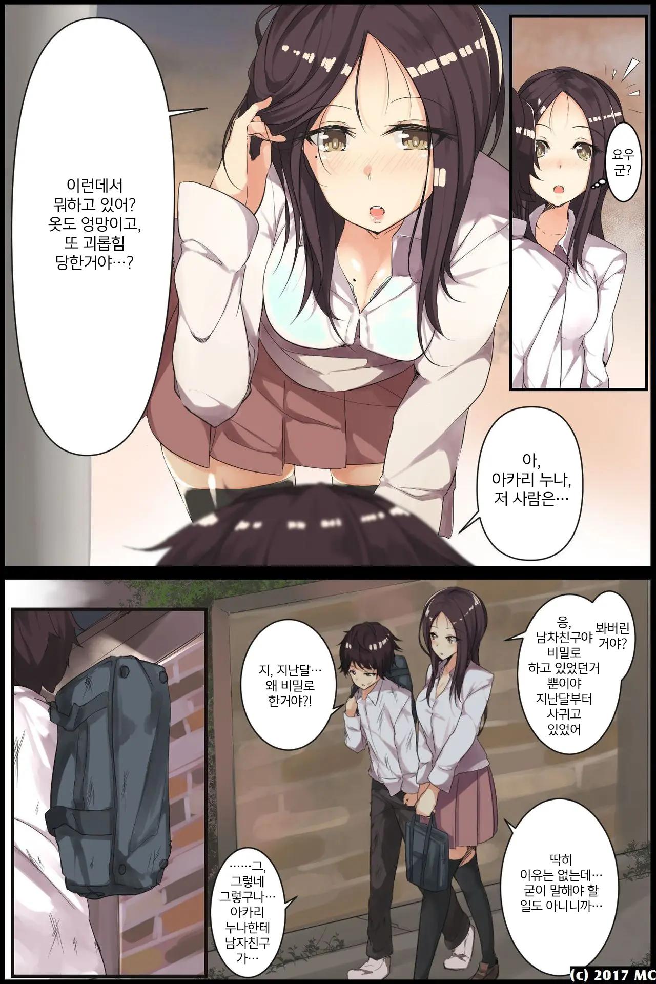 Aneochi 3-Nin No Ane O Choukyou Shita Kiroku | 누나 함락 3명의 누나를 조교한 기록